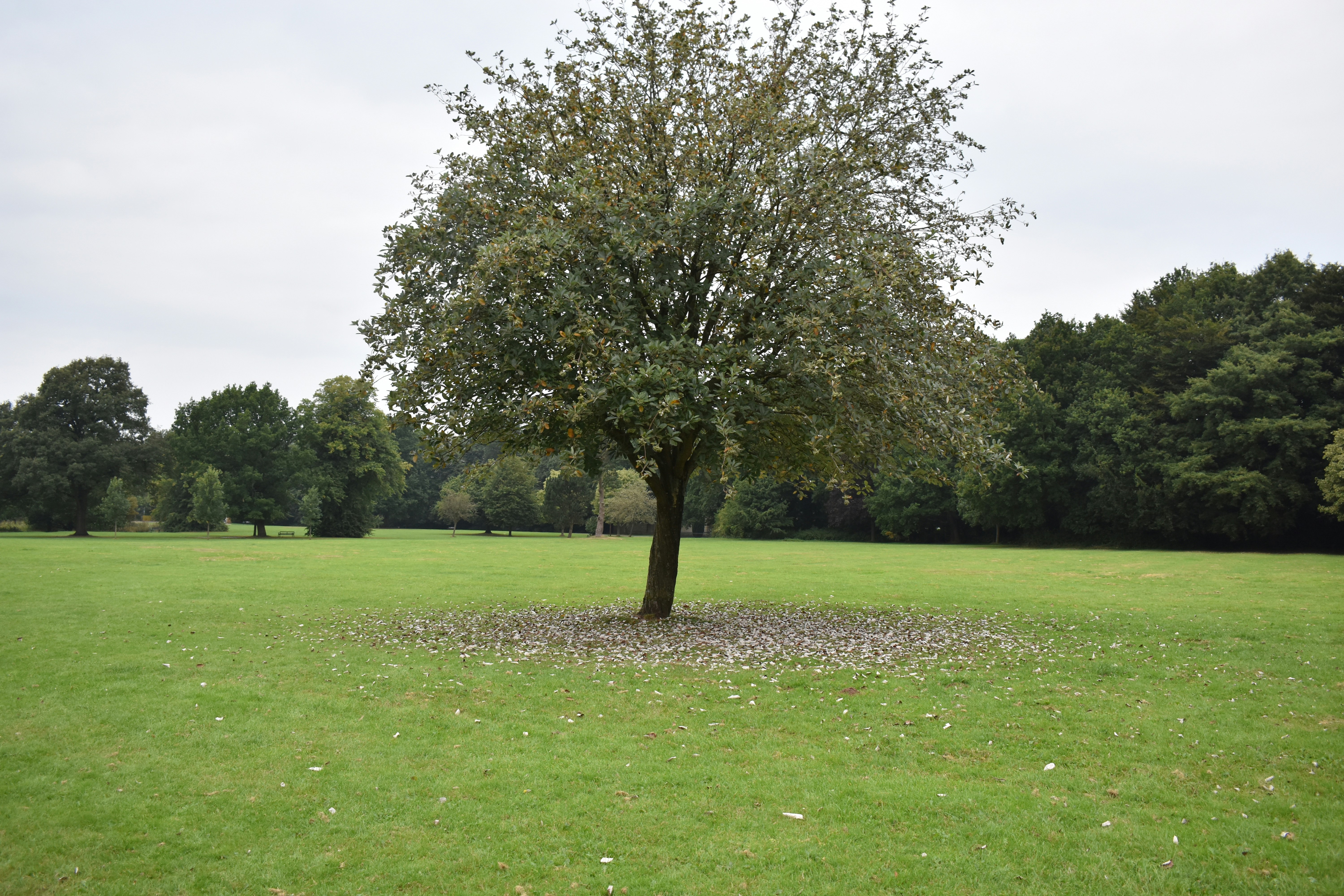 Photo by andrew_hall