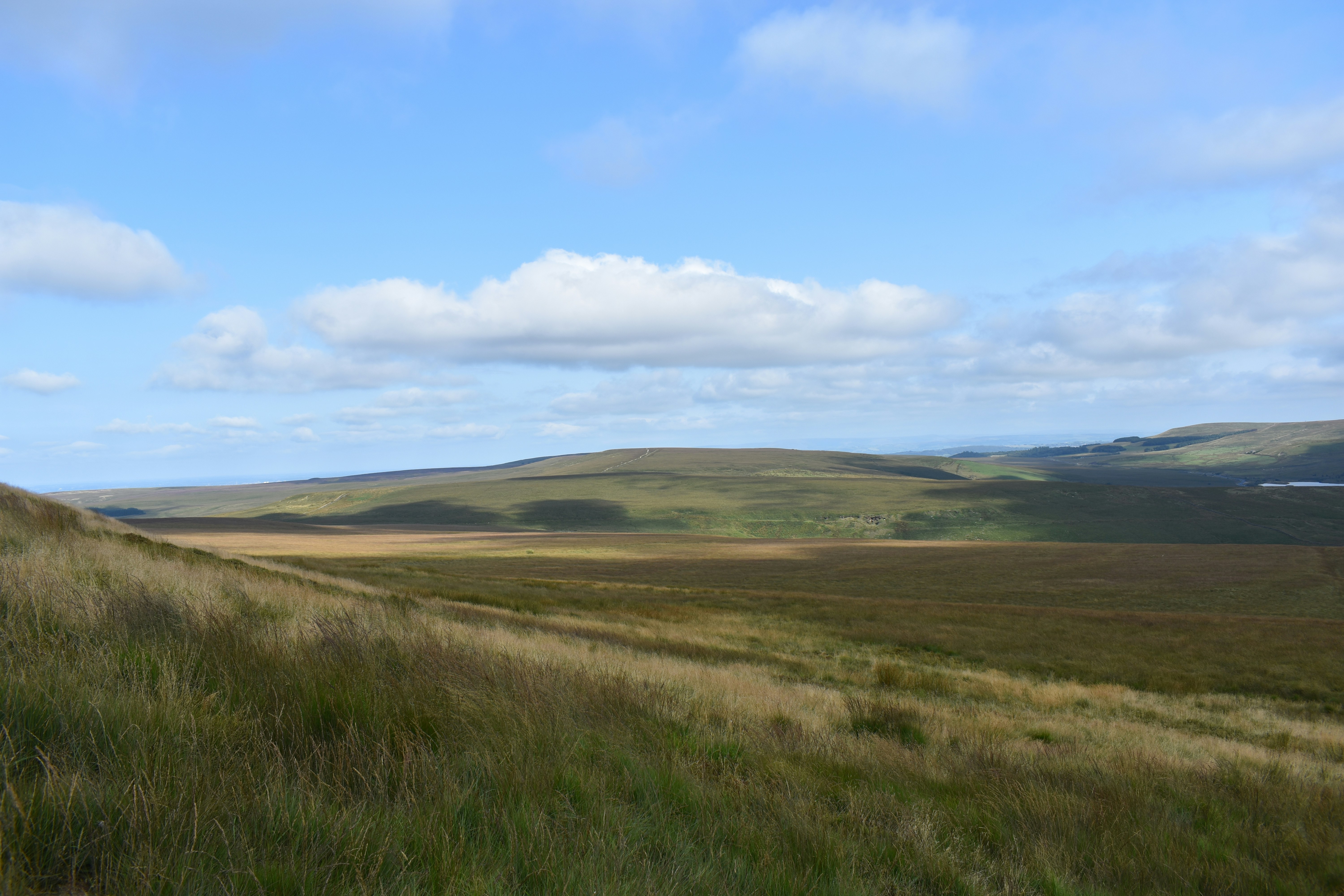 Photo by andrew_hall