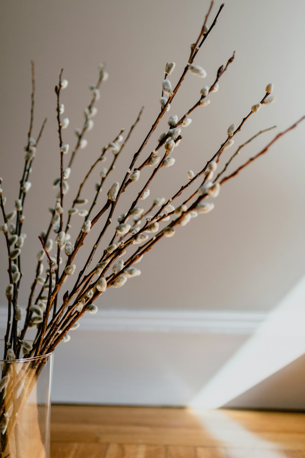 a vase filled with white flowers on top of a wooden floor