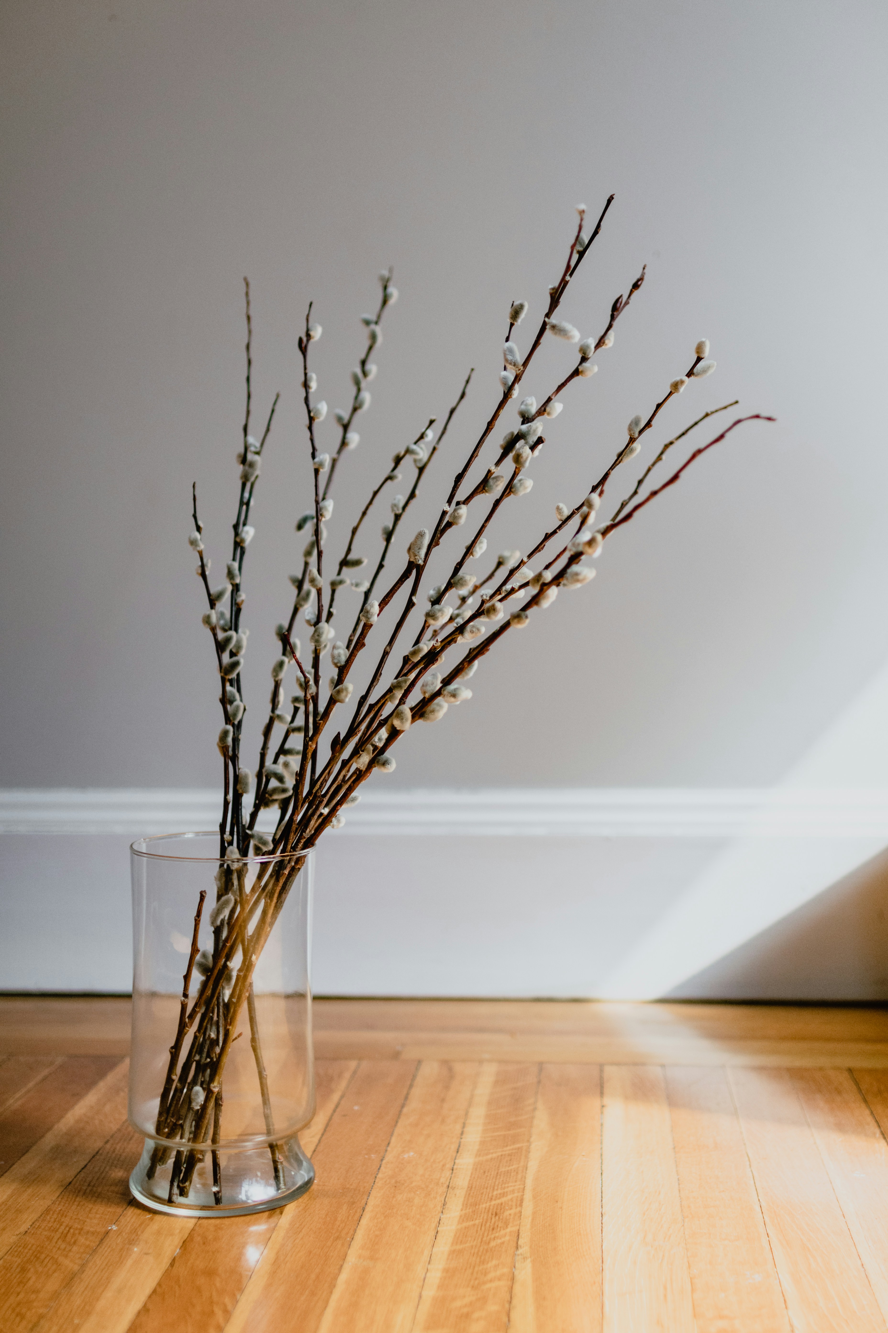 Photo by kellysikkema