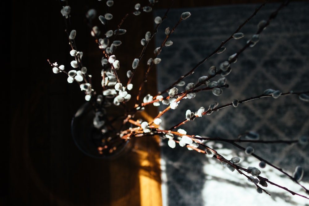 a close up of a vase with flowers in it