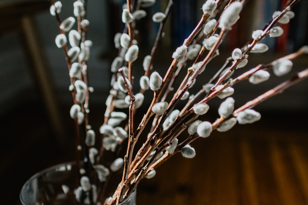 a vase filled with white flowers on top of a wooden table