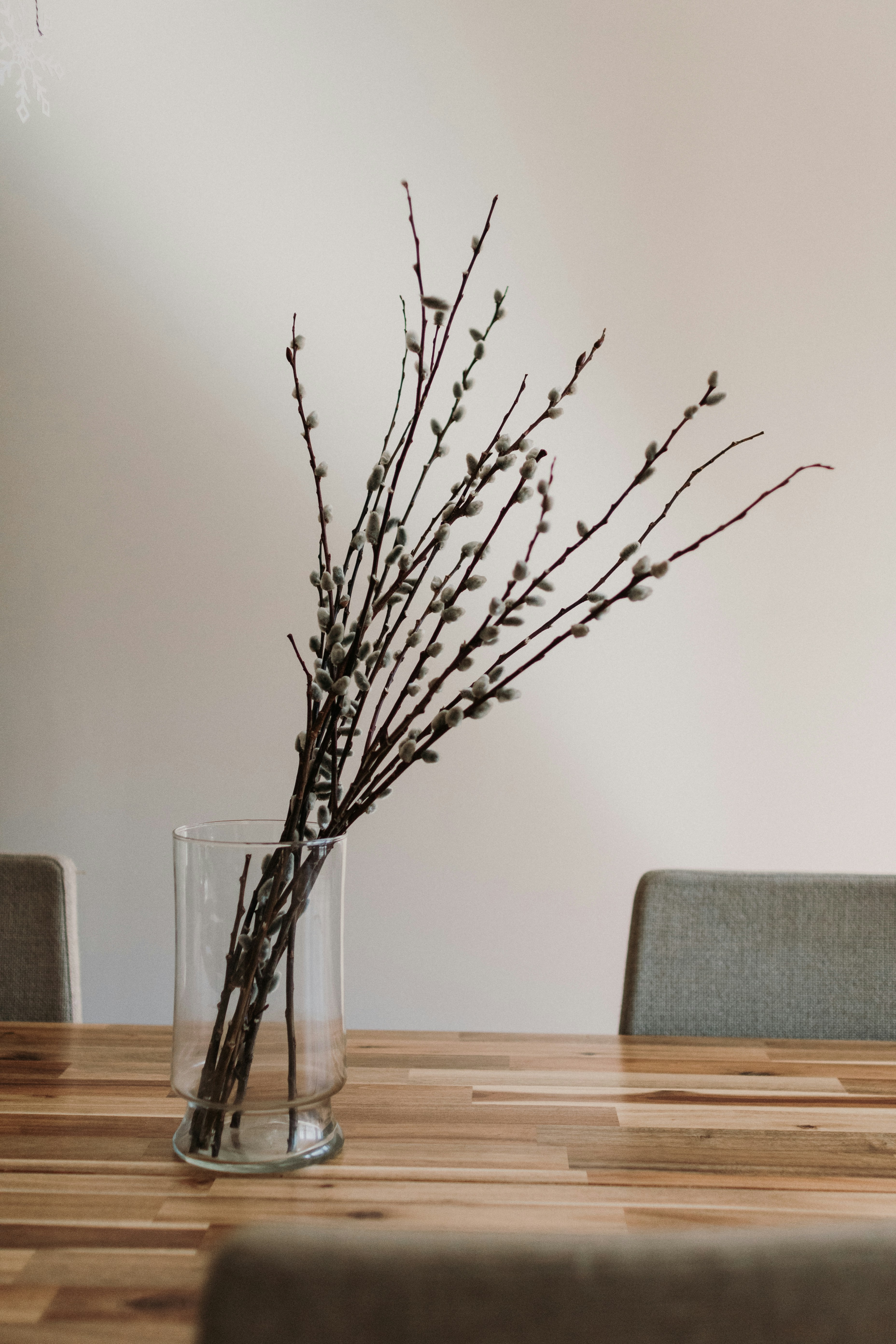 Photo by kellysikkema