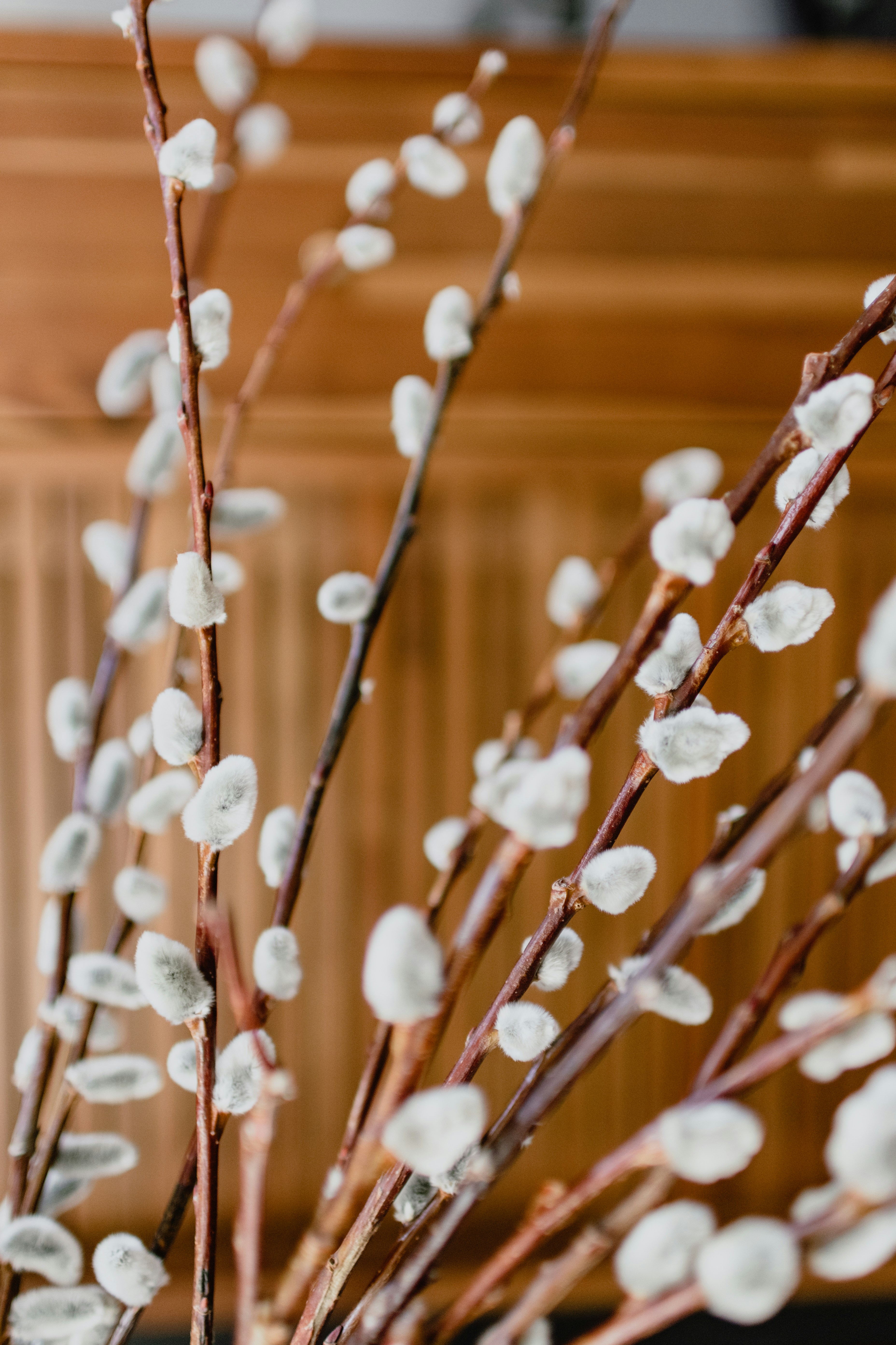 a vase filled with white flowers on top of a table