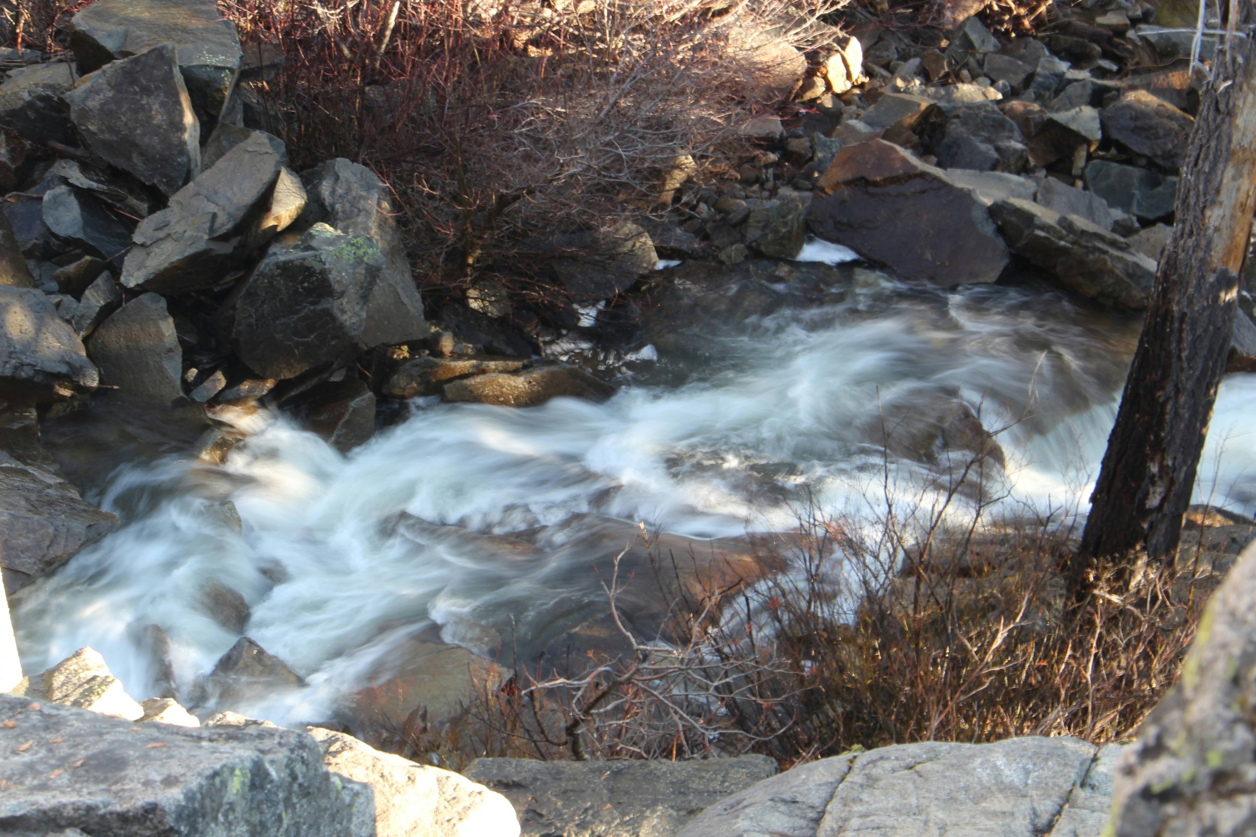 Photo by elijahaustin