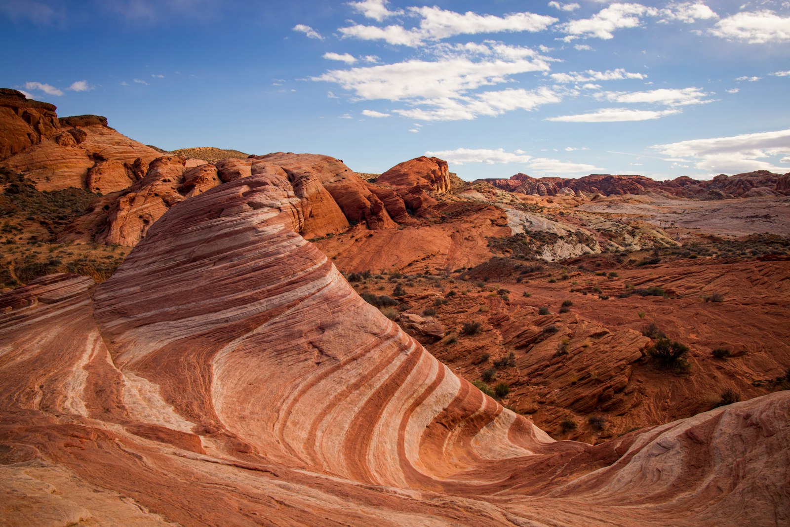 Swirling red-and-white striped sandstone of the Fire Wave in Valley of Fire State Park under a blue sky