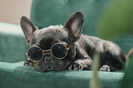 A French Bulldog wearing round sunglasses is lounging on a plush green chair. The dog's relaxed posture and closed eyes suggest it might be resting or sleeping. The overall ambiance is calm and cozy, with the focus primarily on the stylish dog.