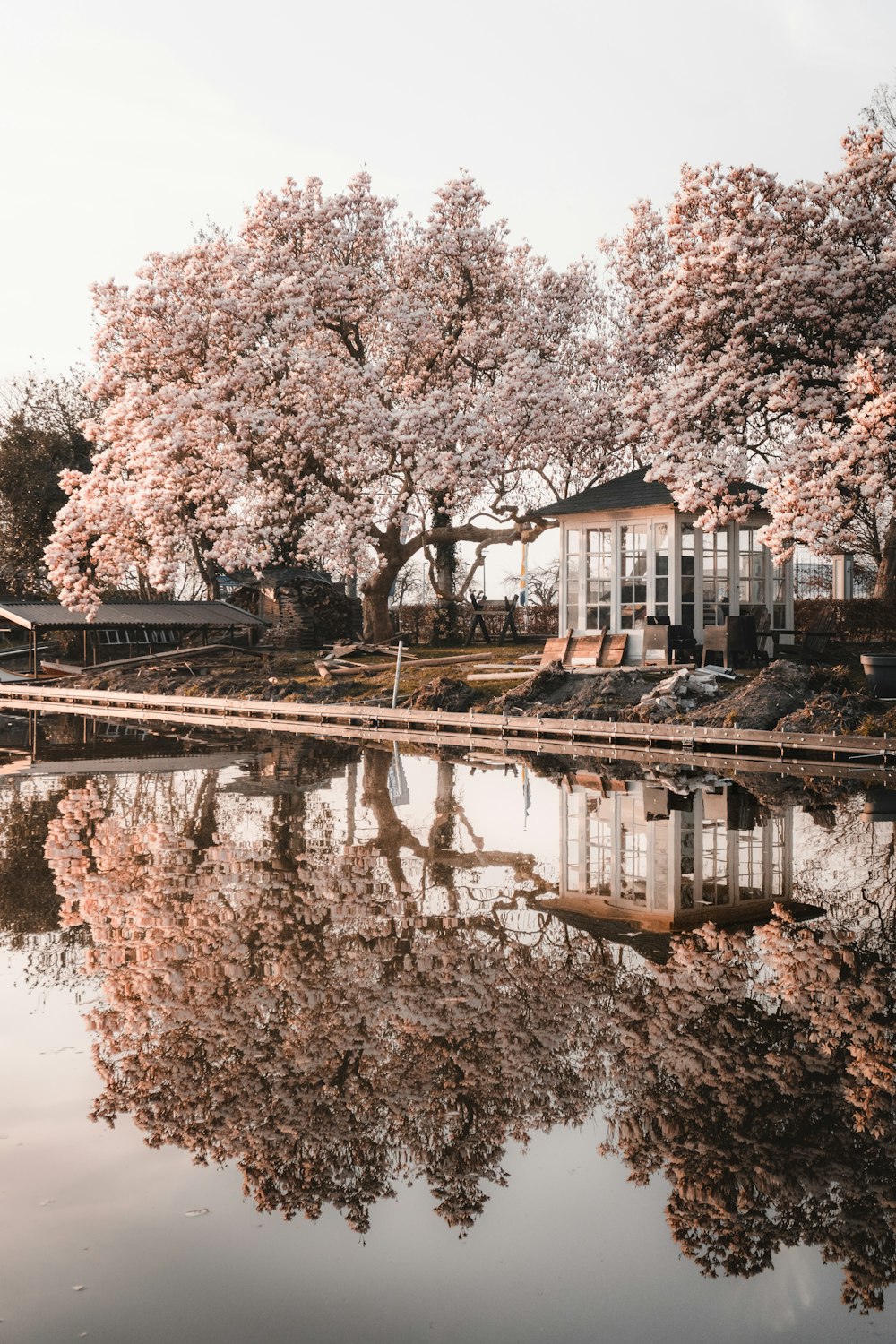 uno specchio d'acqua circondato da alberi e una casa