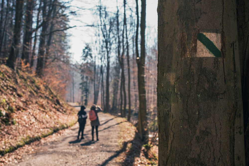 deux personnes marchant sur un chemin dans les bois
