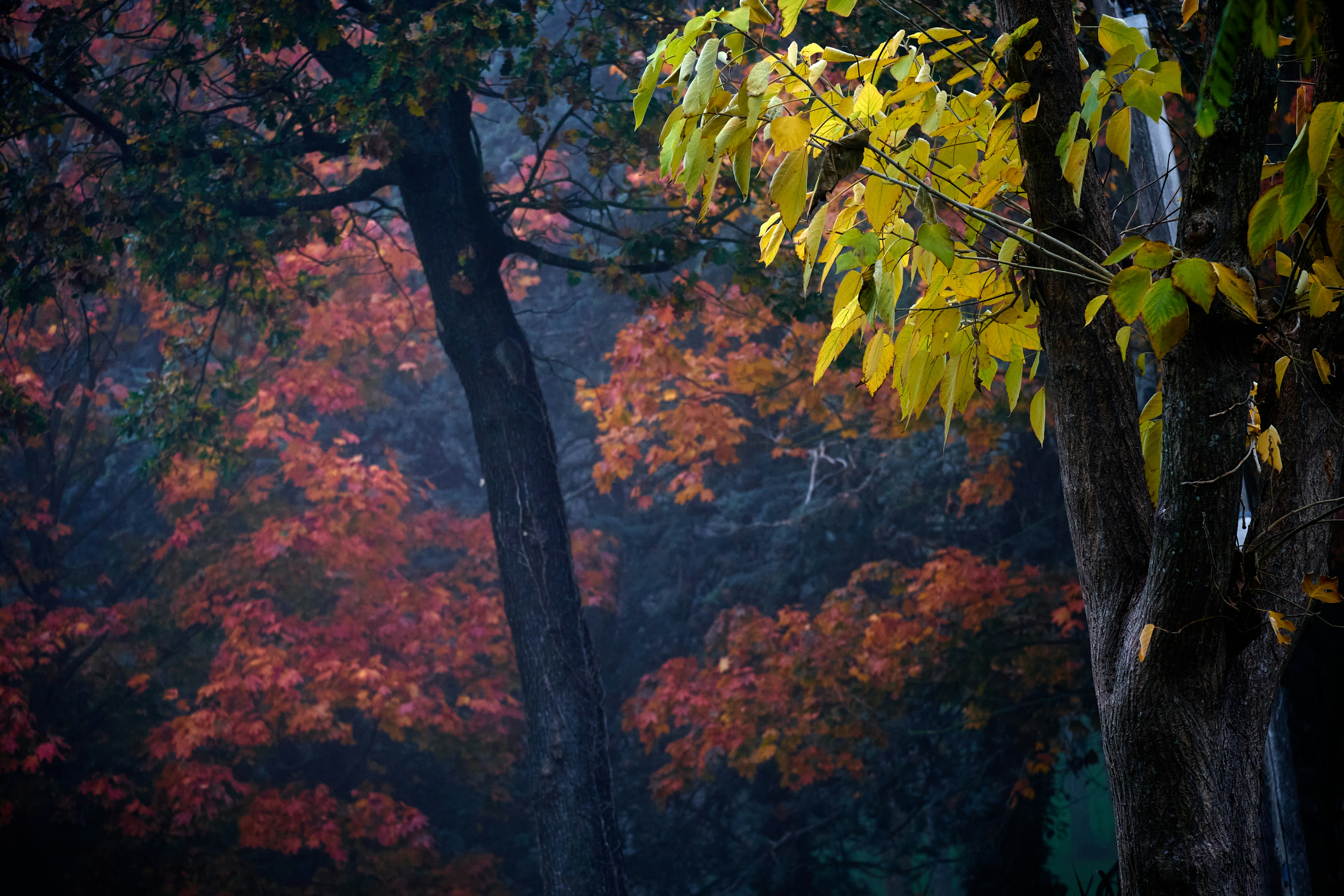 Photo by alessandroventuri