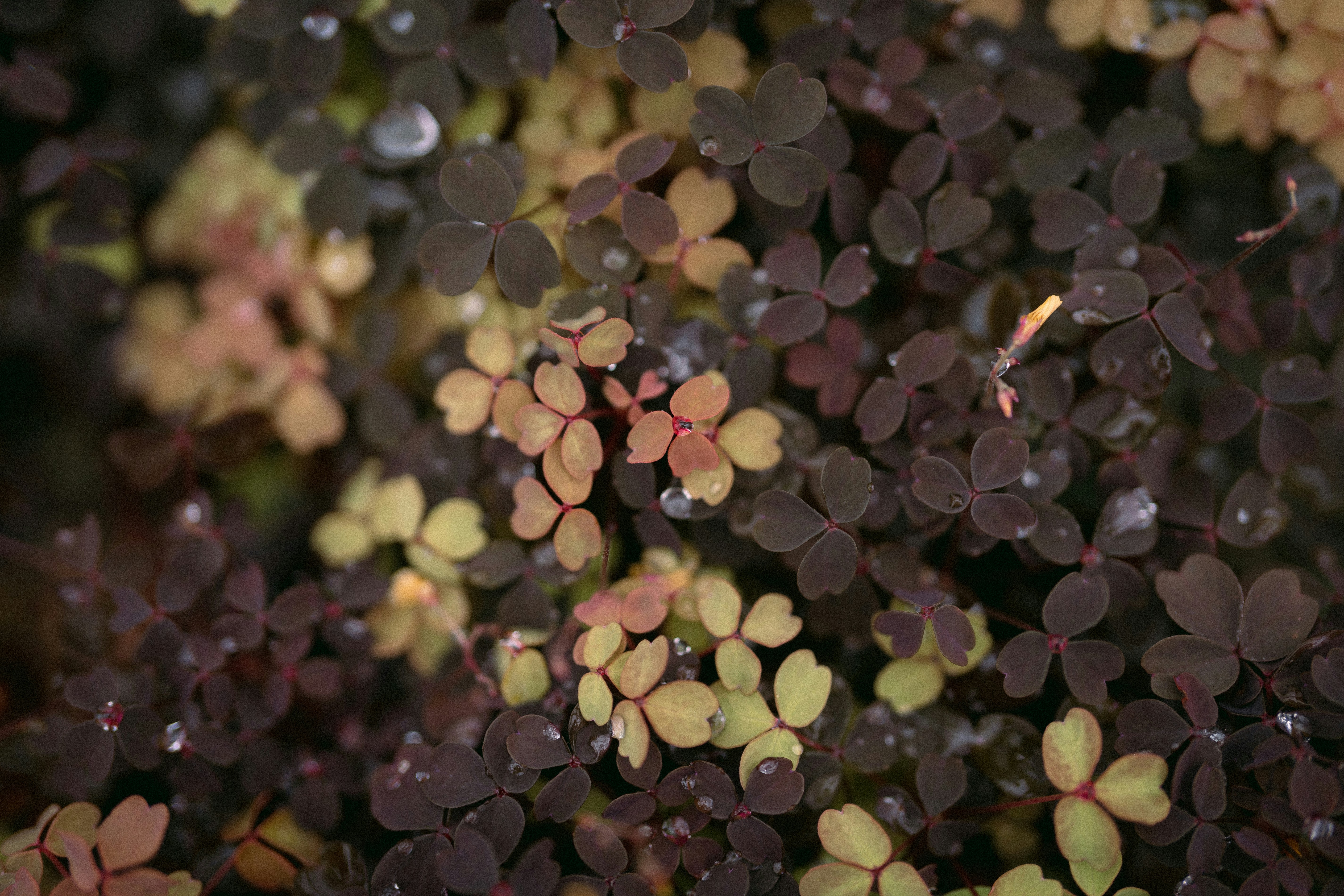 Photo by bettertogether_co