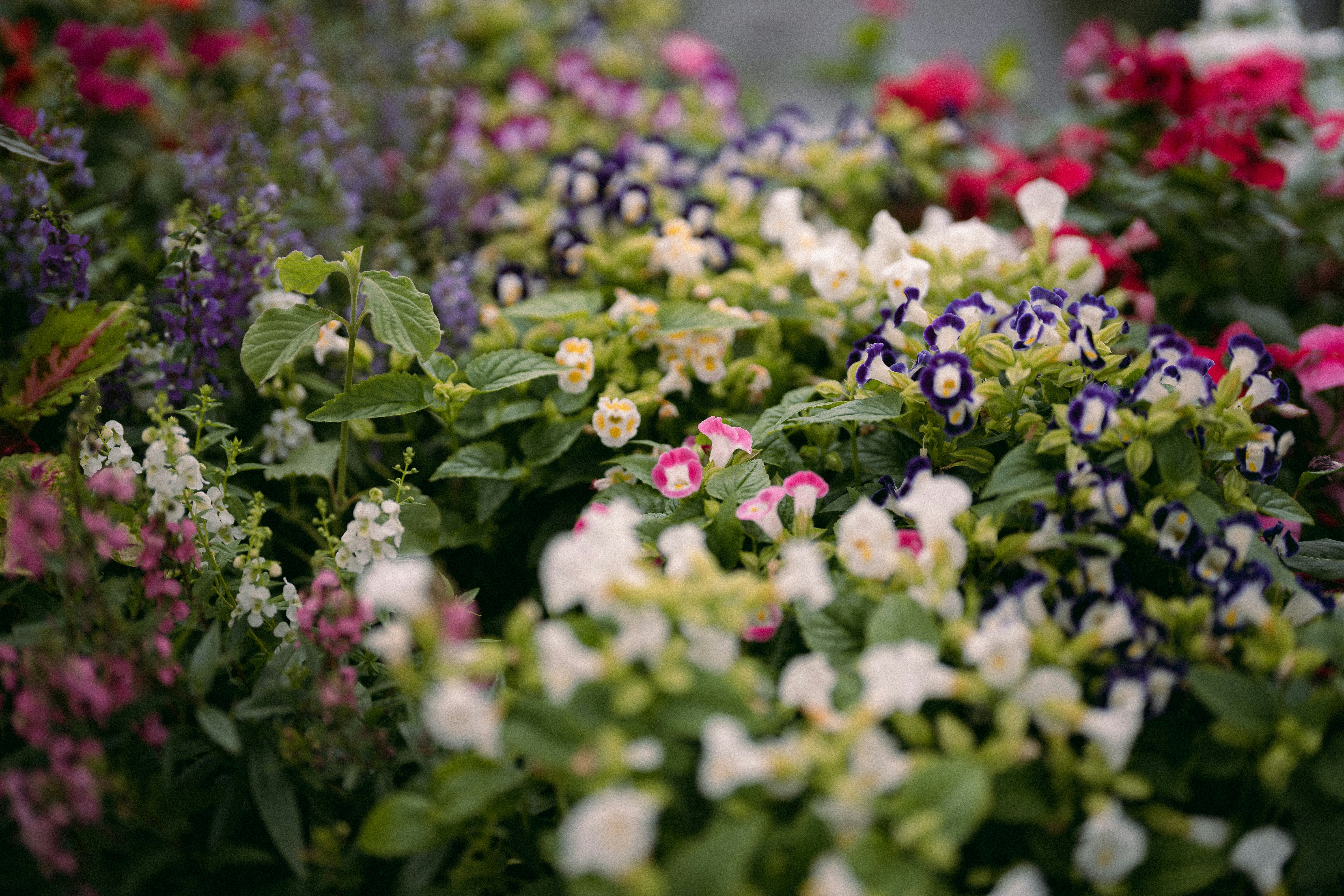 Photo by bettertogether_co