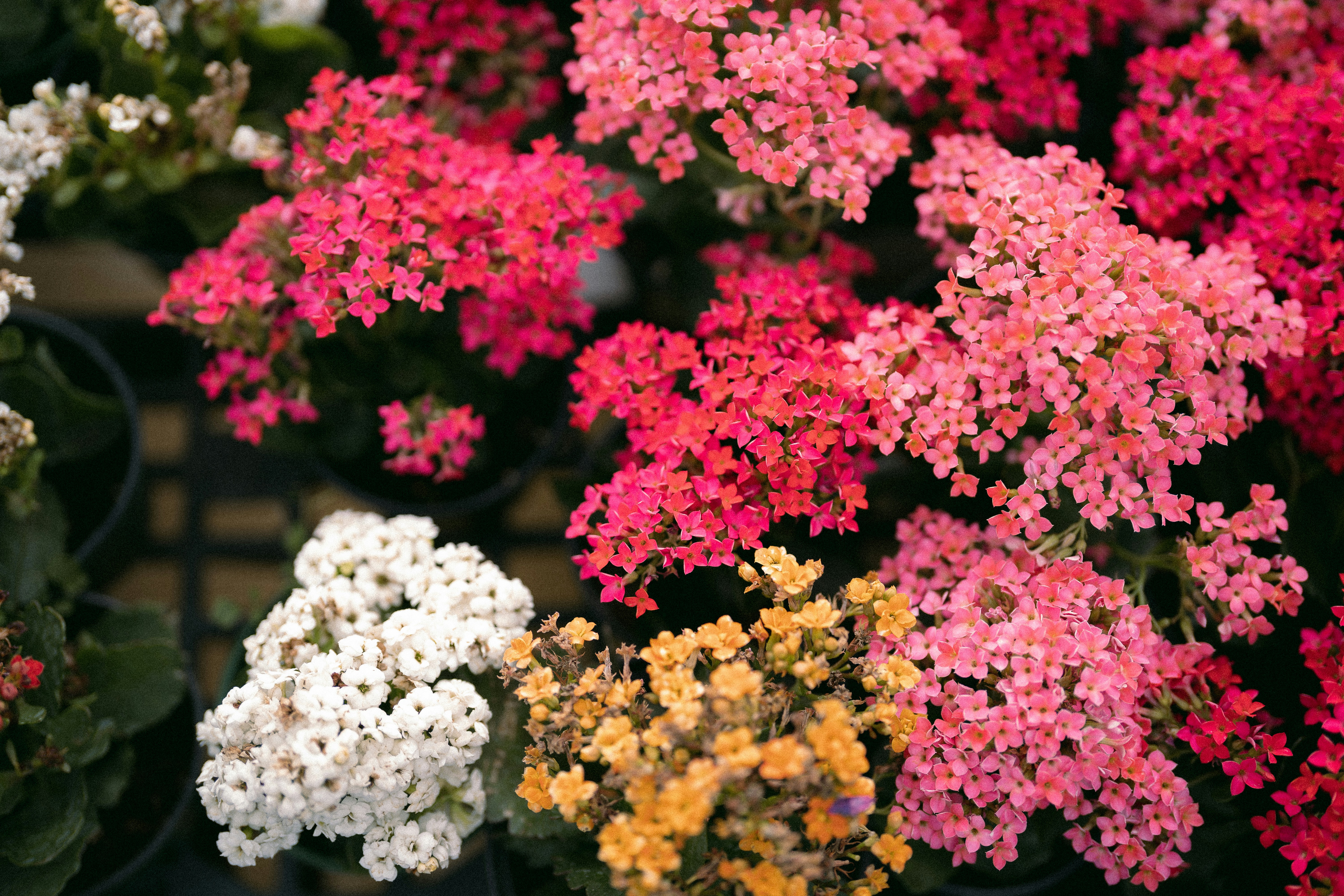 Photo by bettertogether_co