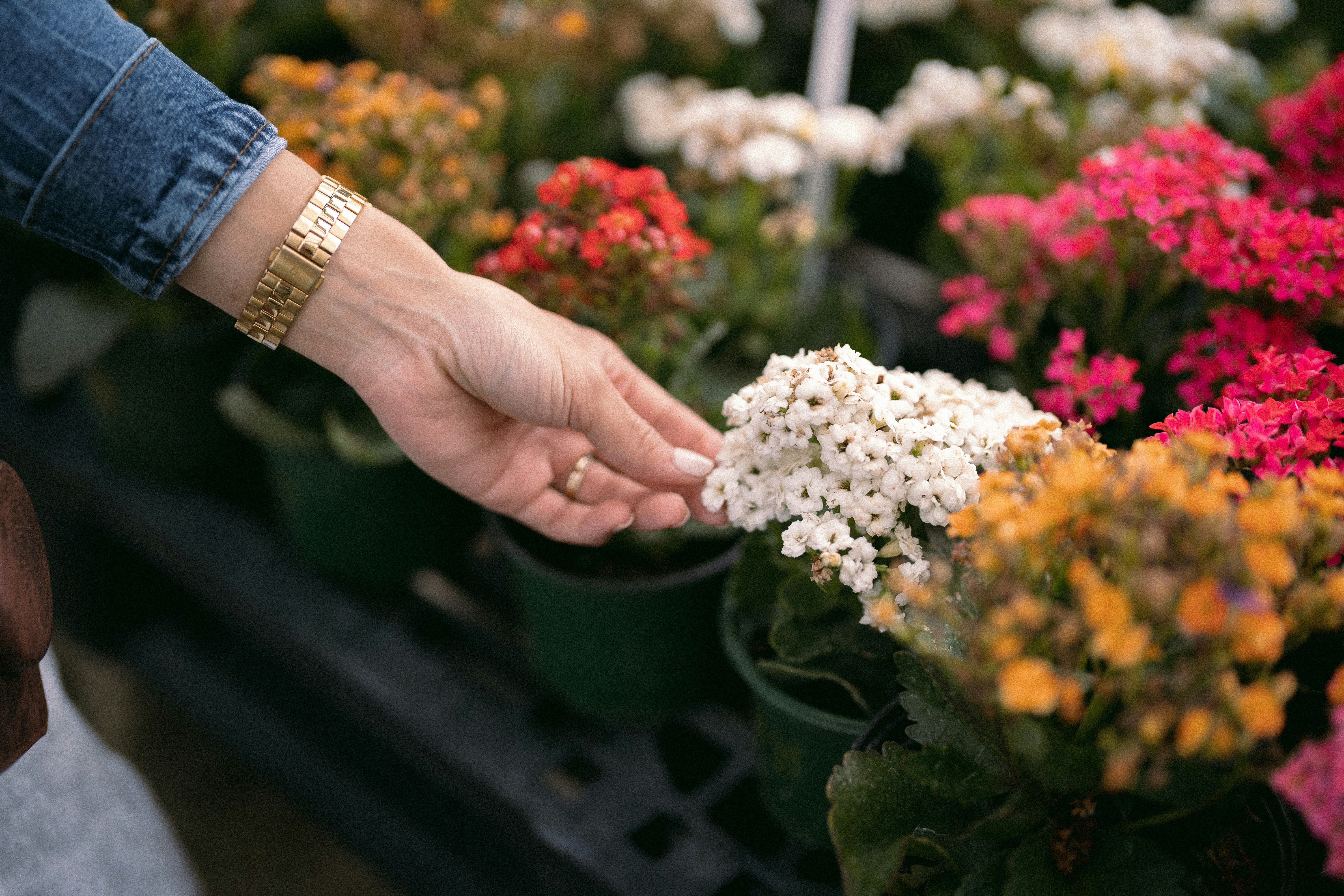 Photo by bettertogether_co