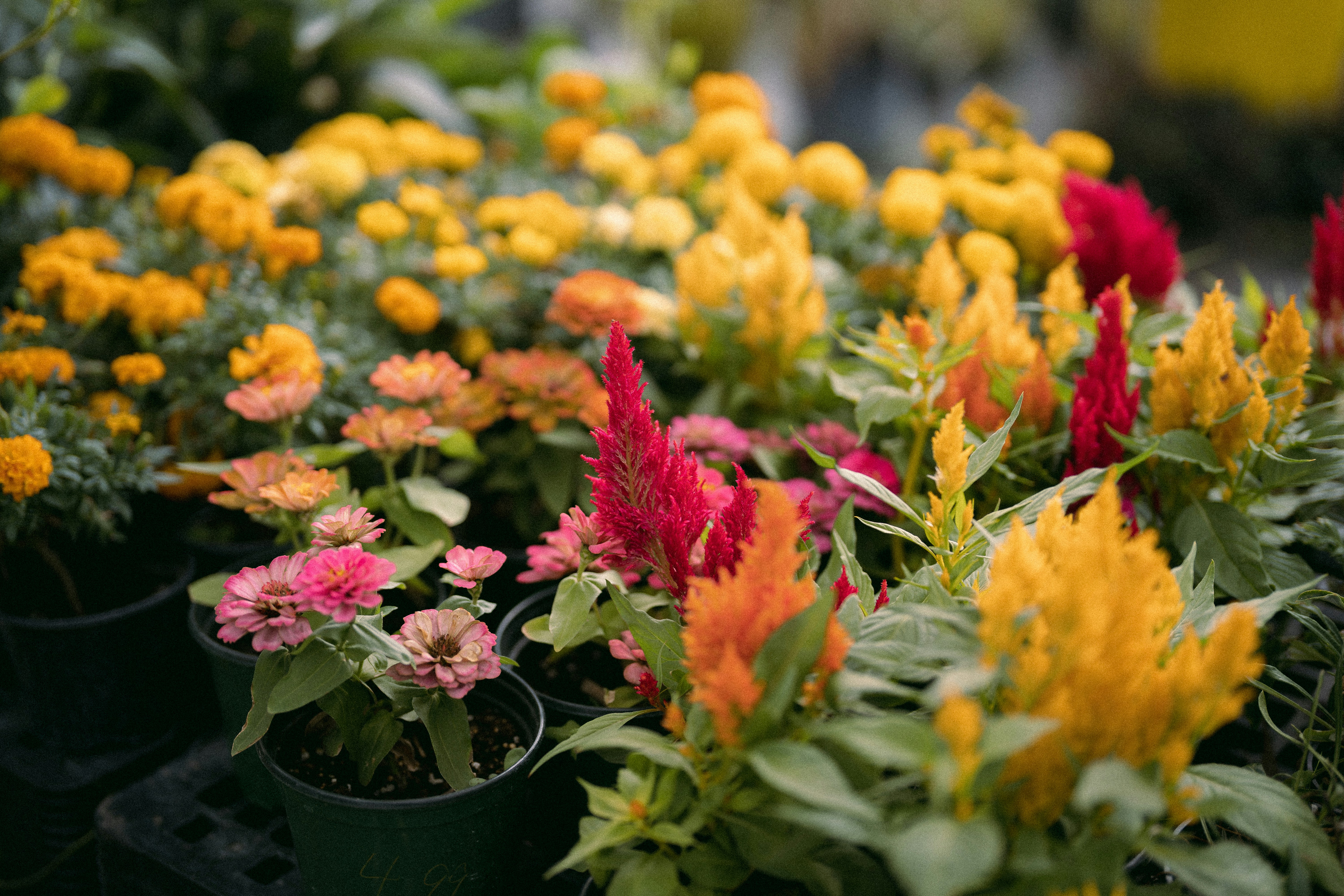 Photo by bettertogether_co