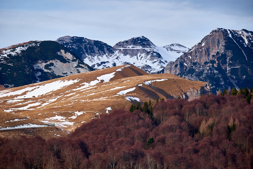 the mountains are covered in snow and brown trees