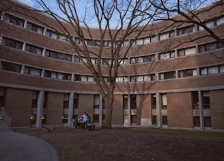 Students gathered in the college courtyard engaged in lively discussion under the shade of a large tree.