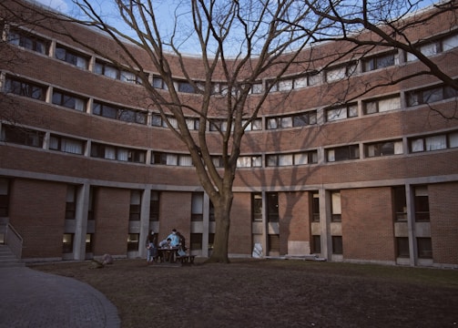 Students gathered in the college courtyard engaged in lively discussion under the shade of a large tree.