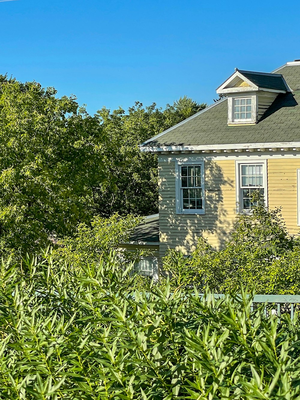 a yellow house surrounded by trees and bushes