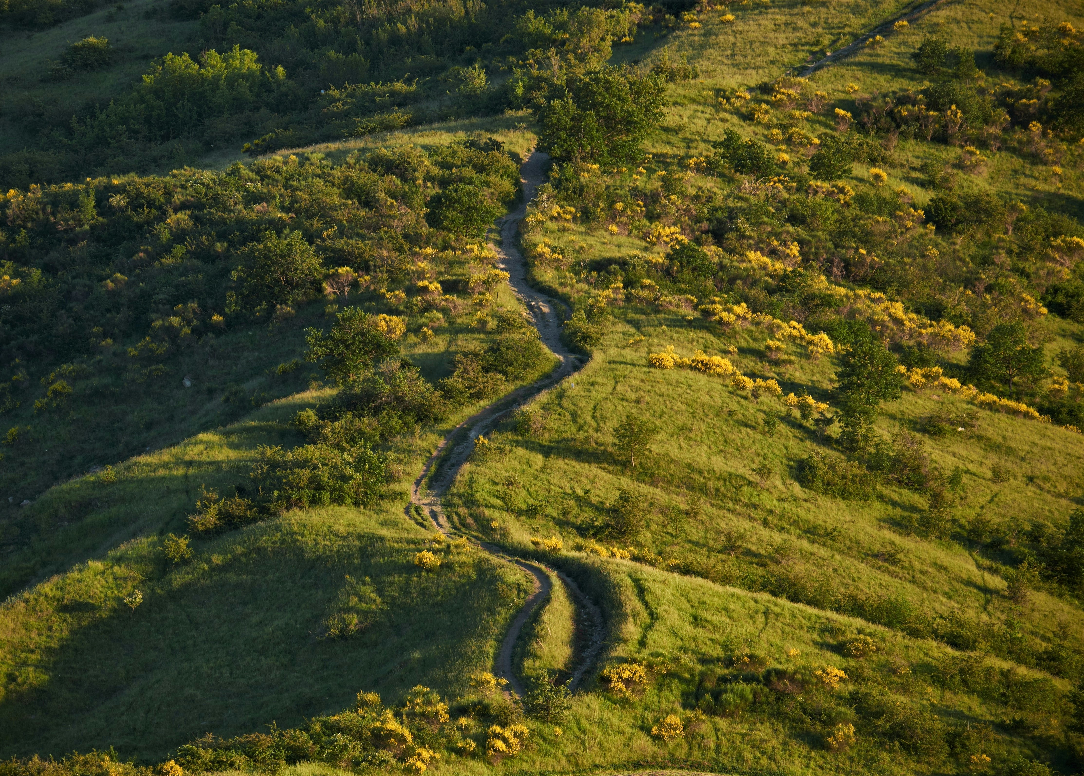 Photo by alessandroventuri