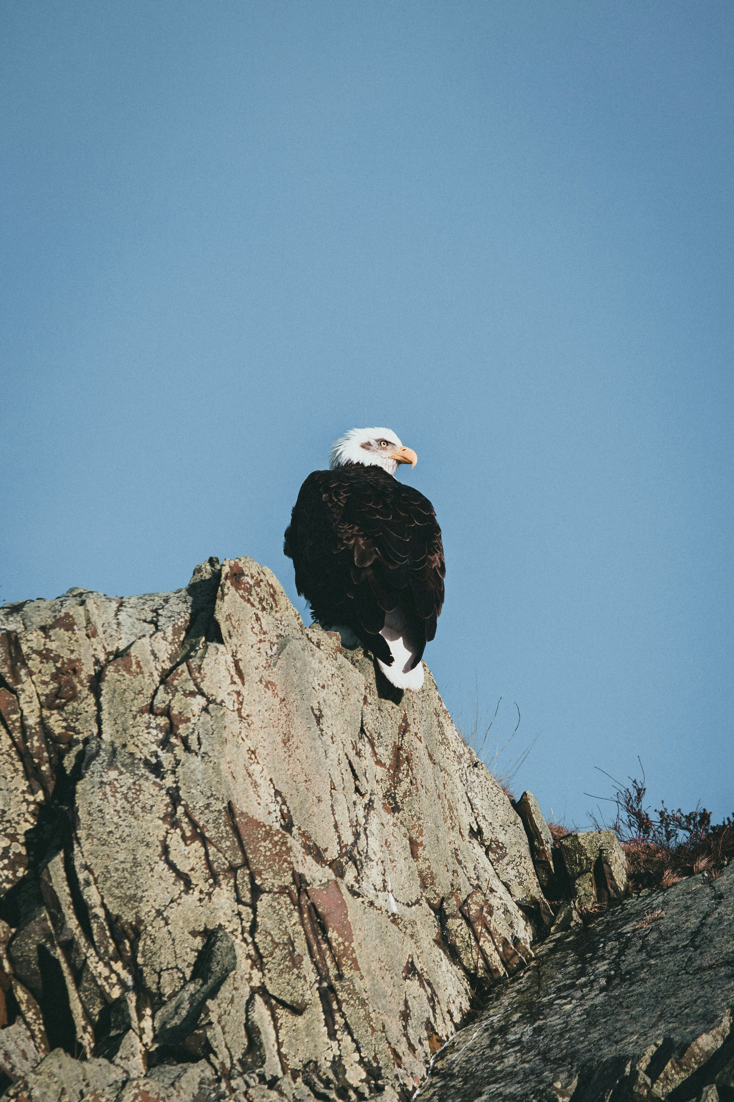 Photo by theshuttervision