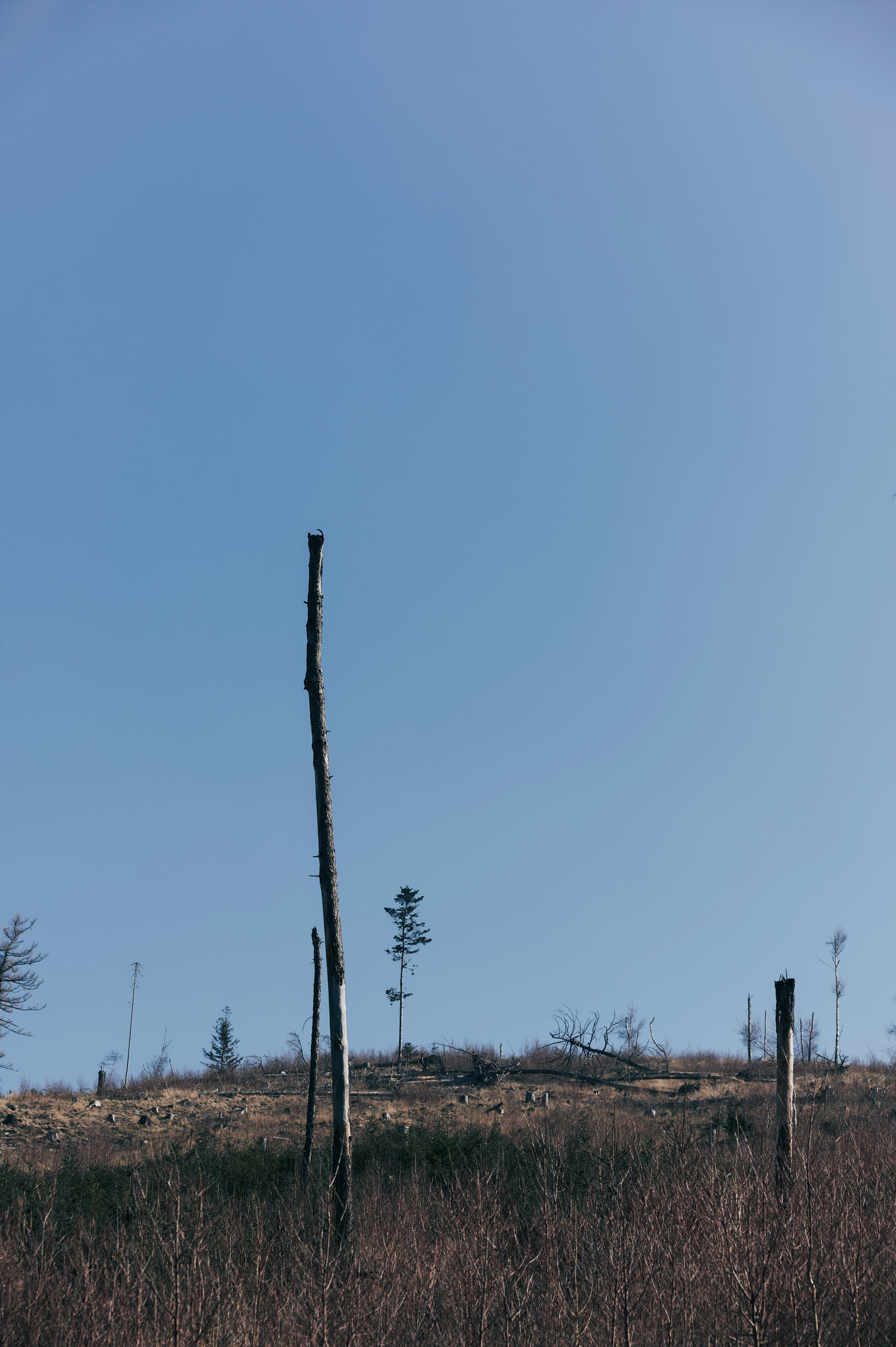 Photo by kamilklyta