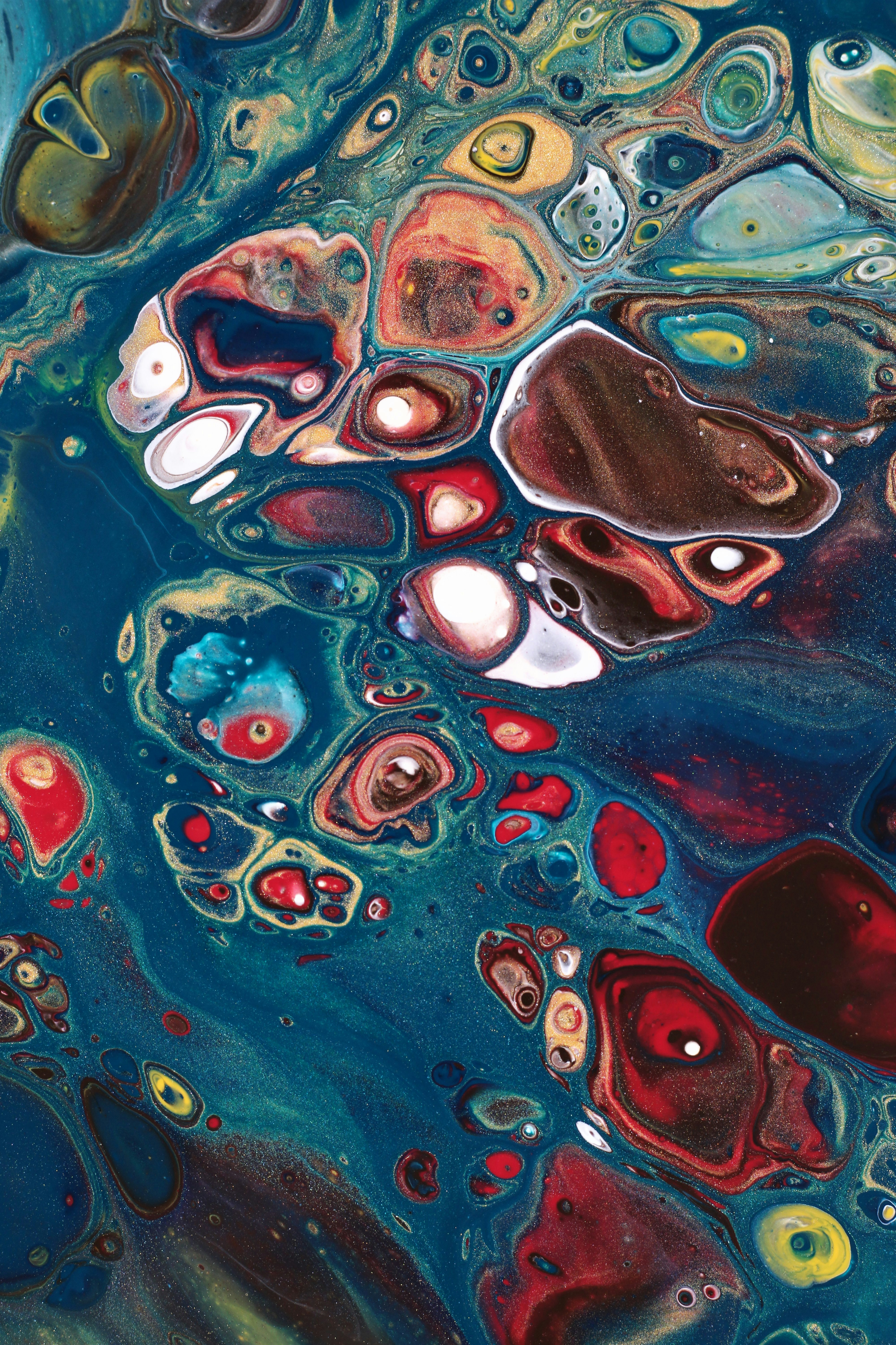 Photo by susan_wilkinson