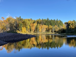 A serene landscape depicting a calm lake reflecting a dense forest of trees dressed in autumn colors against a clear blue sky. The shoreline is rocky, adding texture to the peaceful scene.
