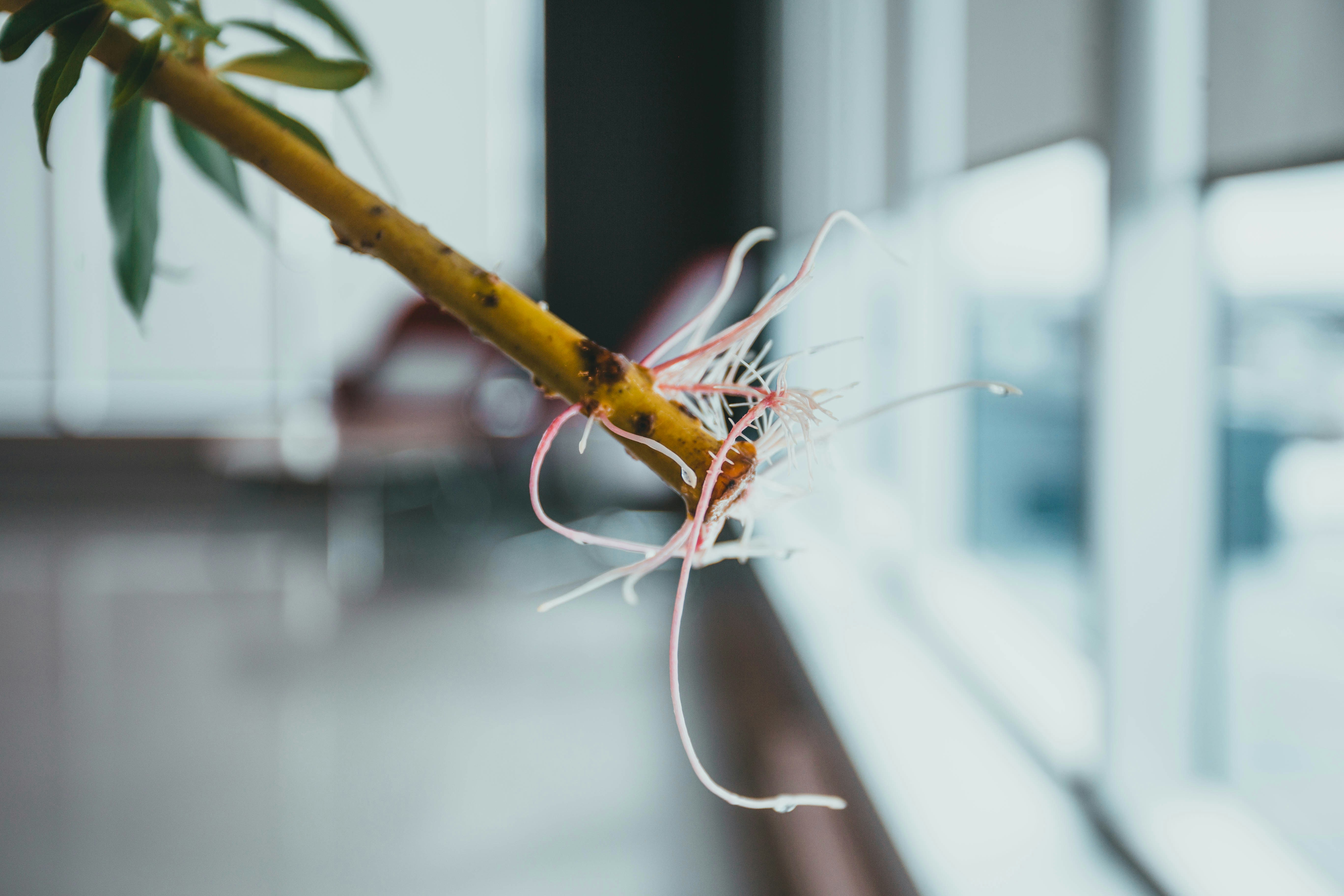 Photo by introspectivedsgn