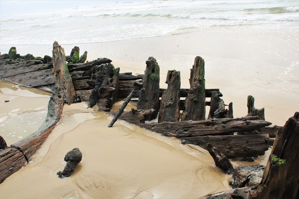 a beach with a bunch of old wooden posts sticking out of the sand