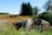 A rural landscape featuring several hay bales in the foreground, surrounded by tall grasses and wildflowers. In the background, there are trees with dense green foliage, and an open field stretches into the distance under a clear blue sky.