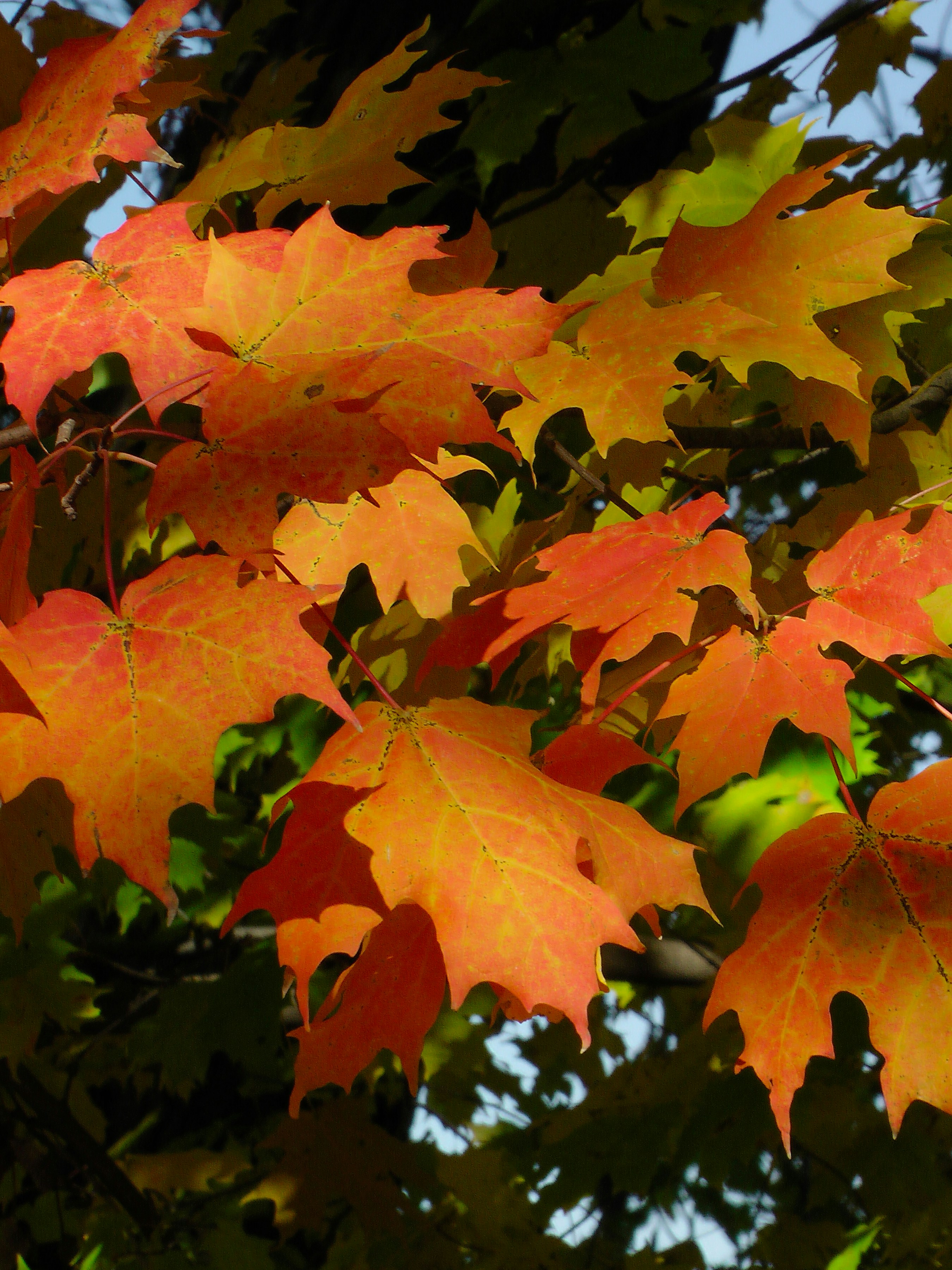 Photo by anniethingspossible