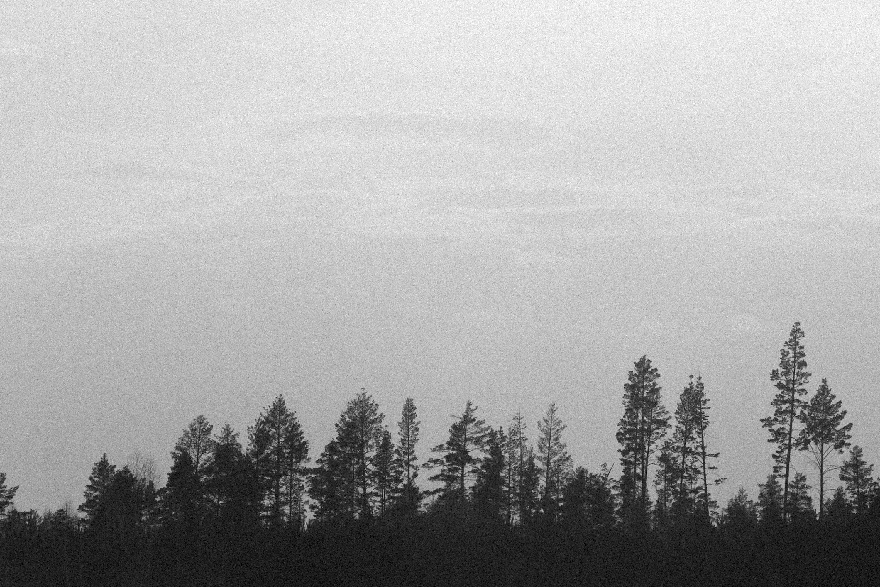 Photo by alexeydemidov