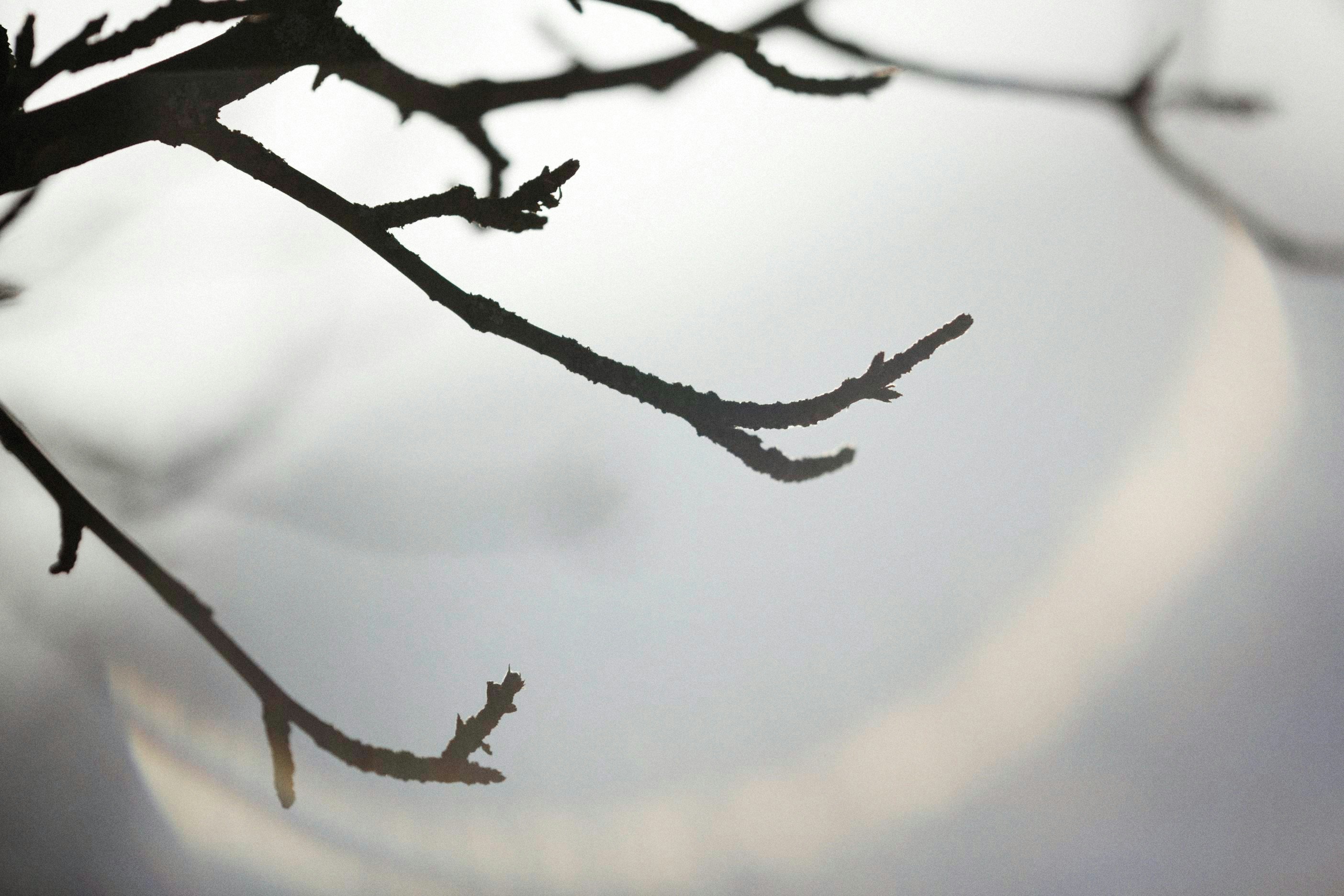 Photo by alexeydemidov