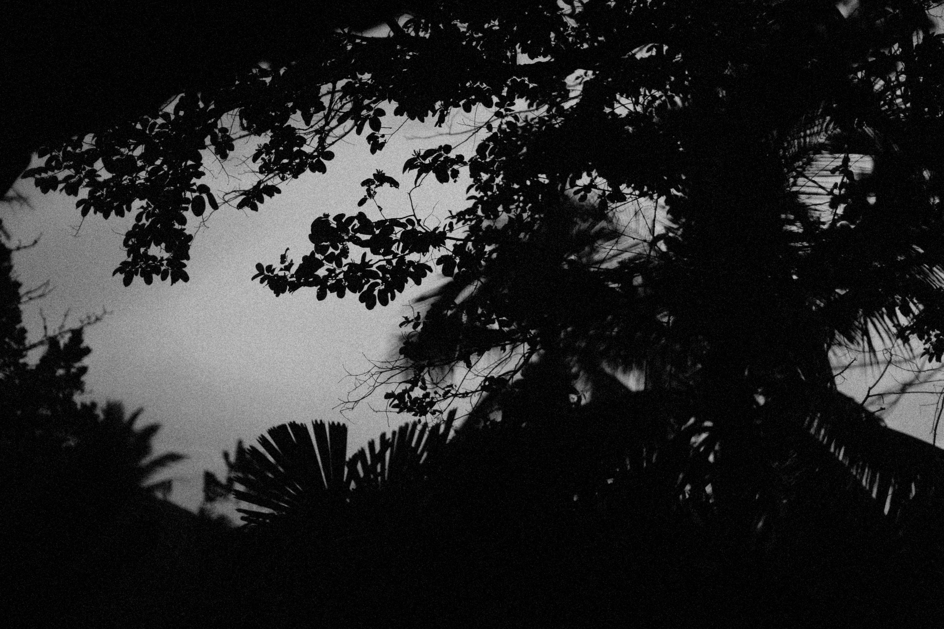 Photo by alexeydemidov