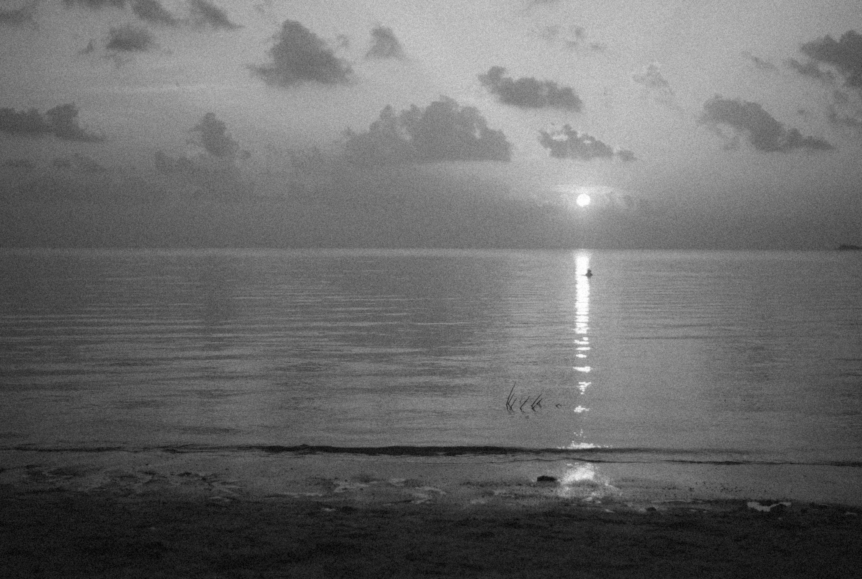 Photo by alexeydemidov