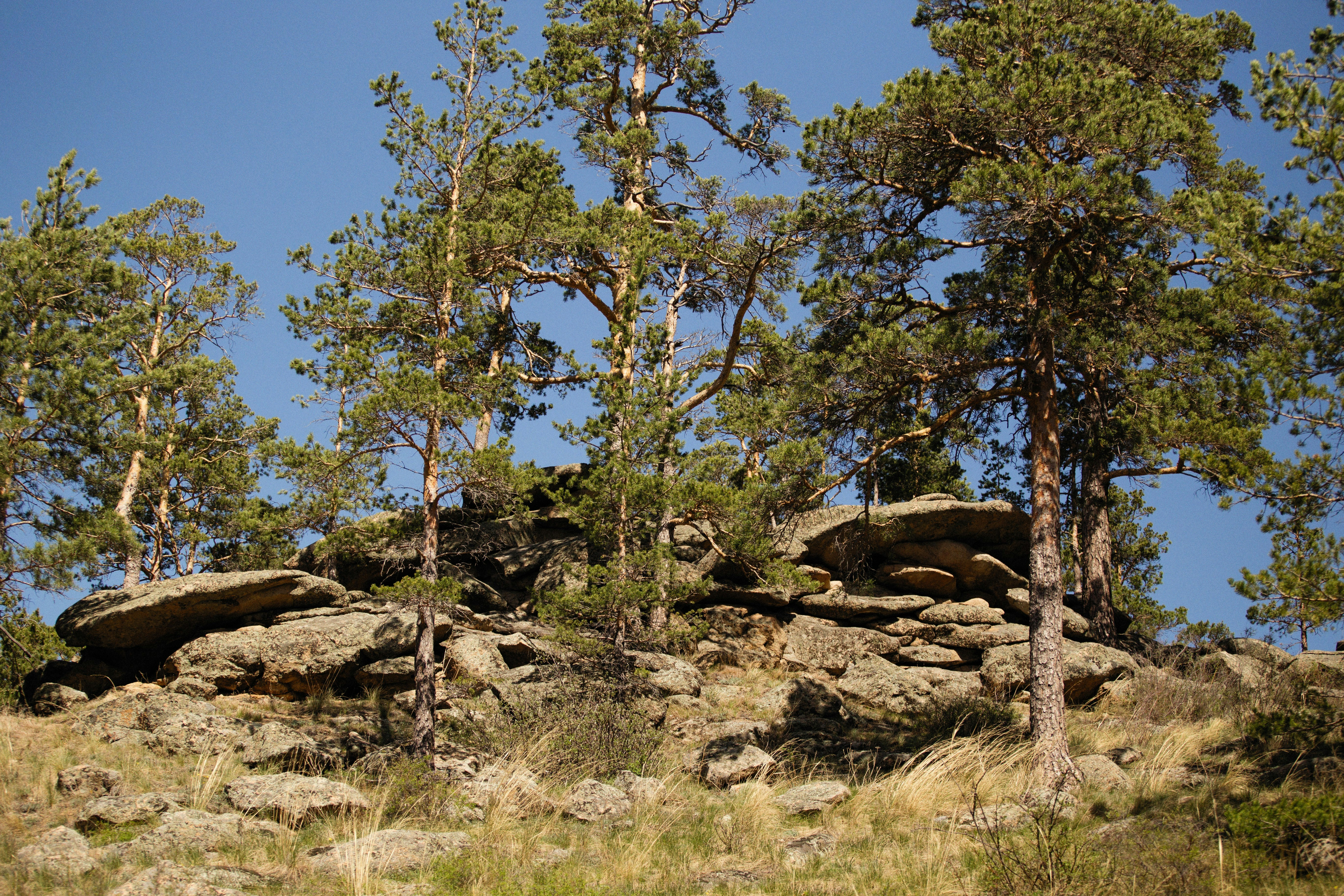 Photo by alexeydemidov