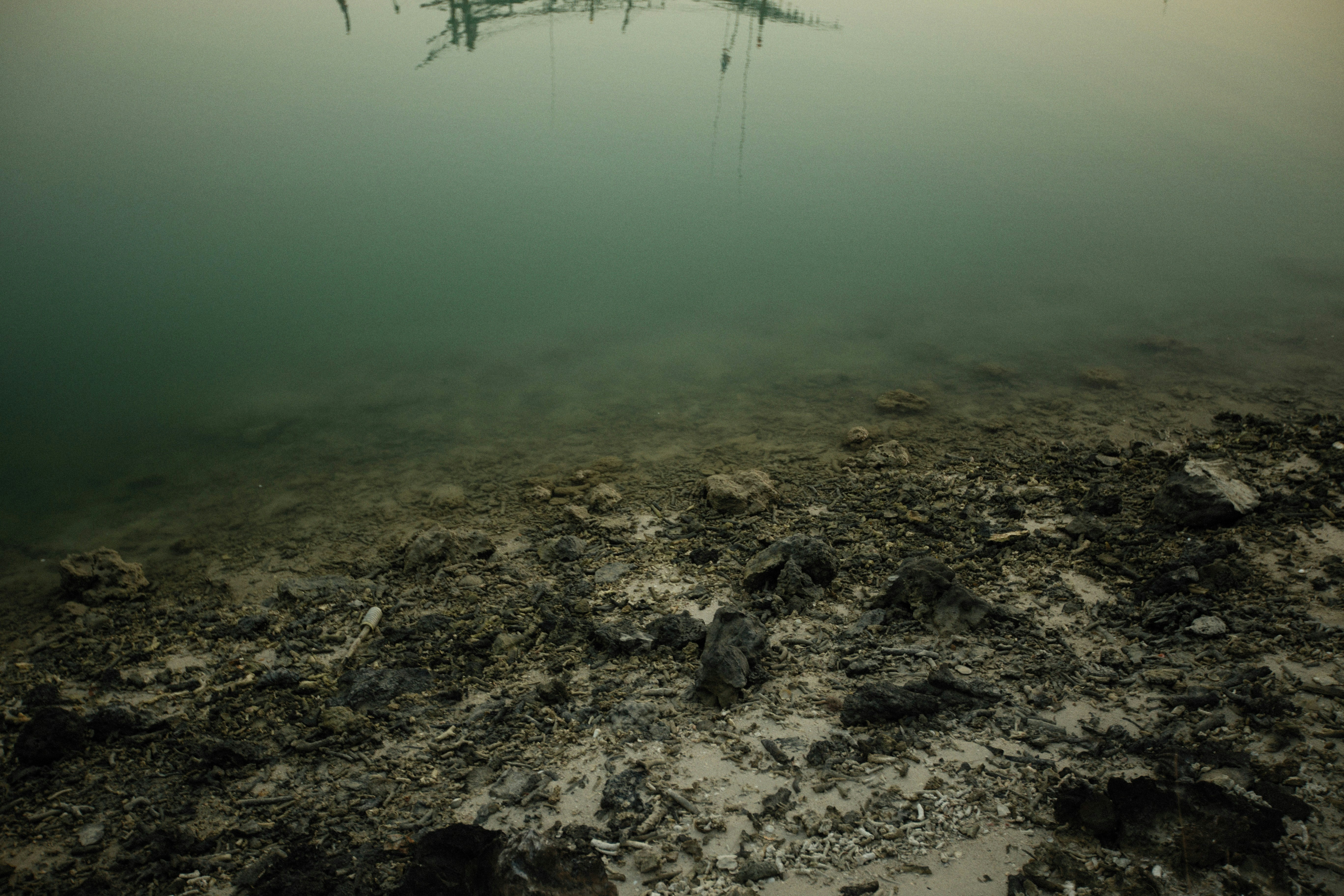 Photo by alexeydemidov