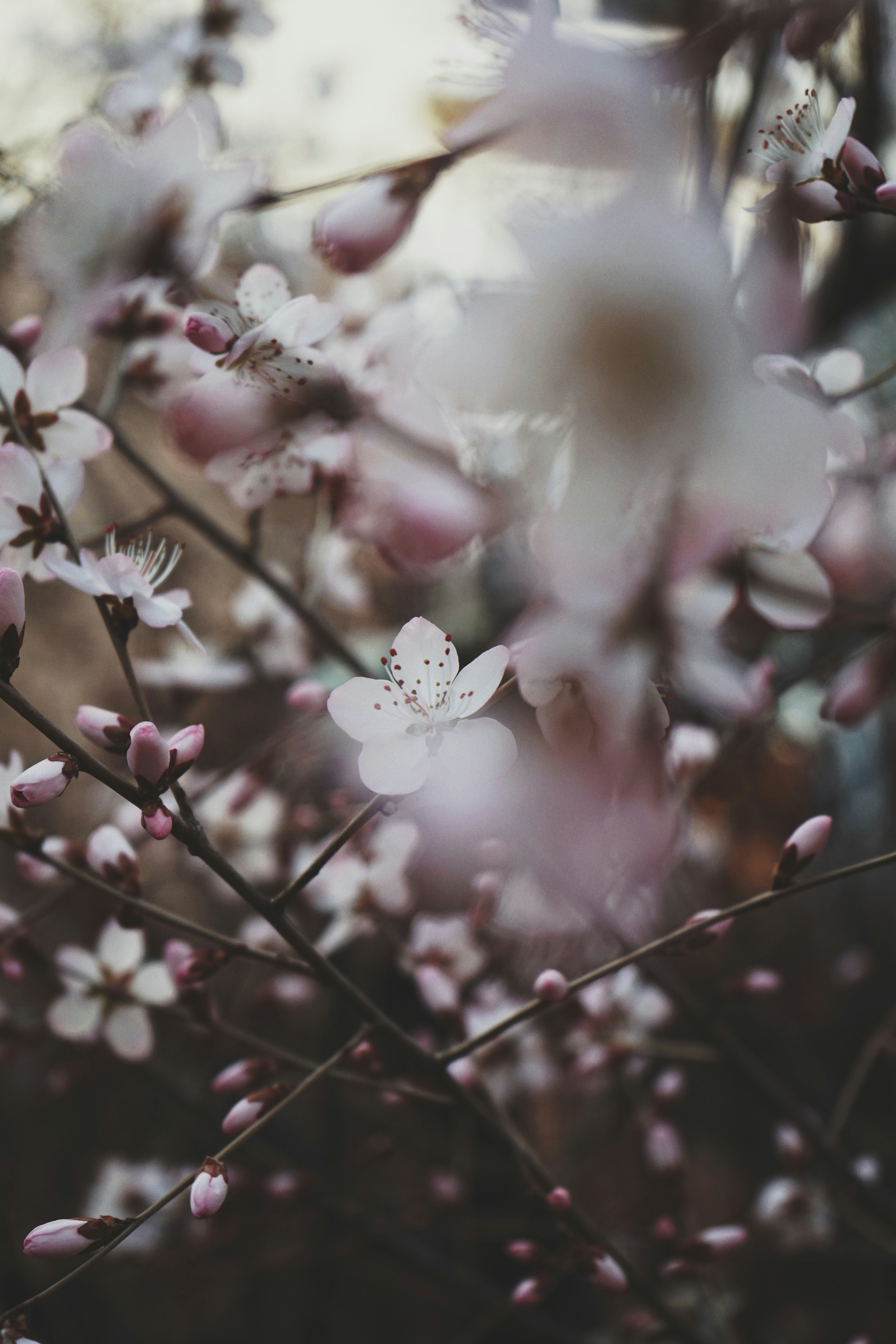 Photo by judahwester