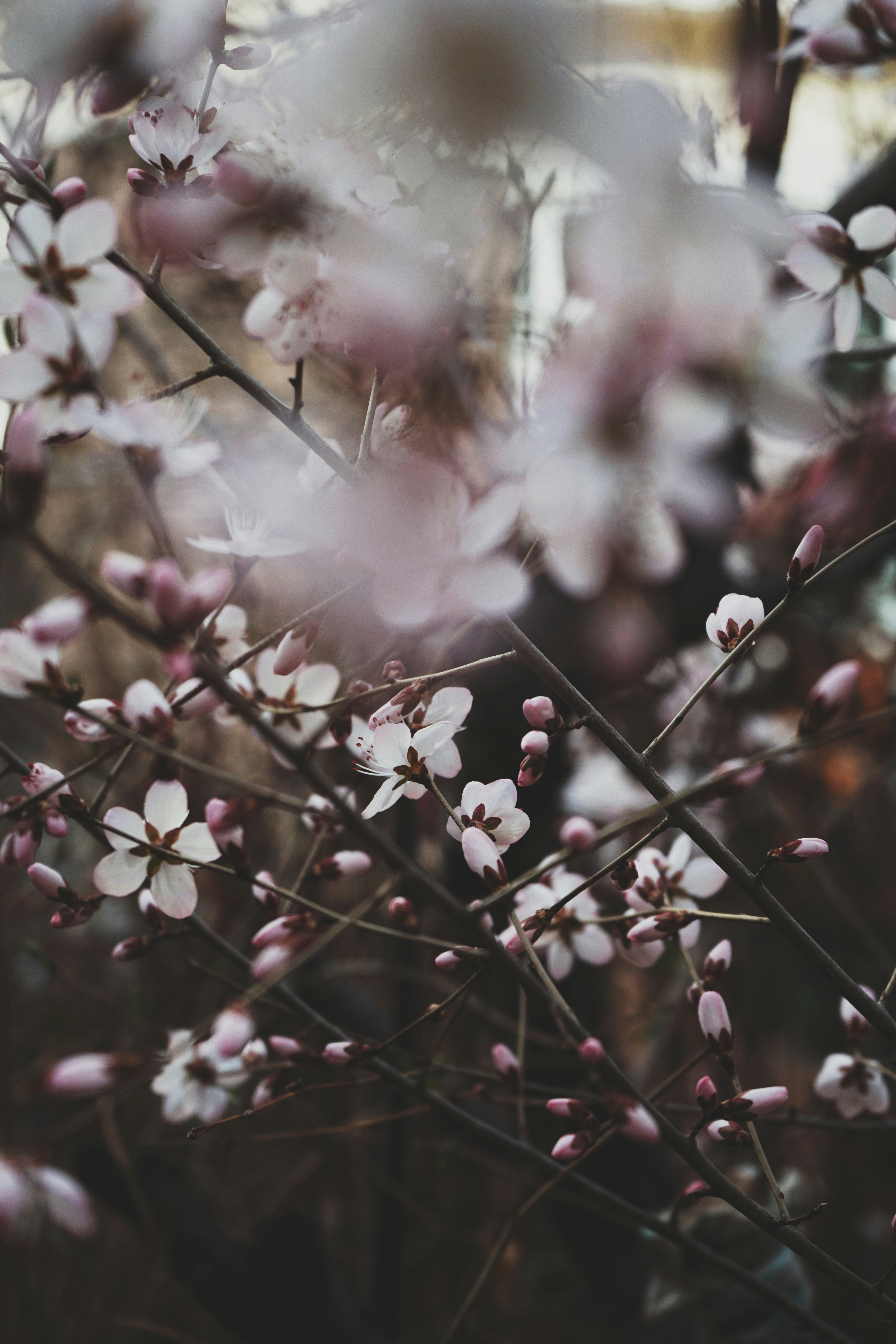 Photo by judahwester