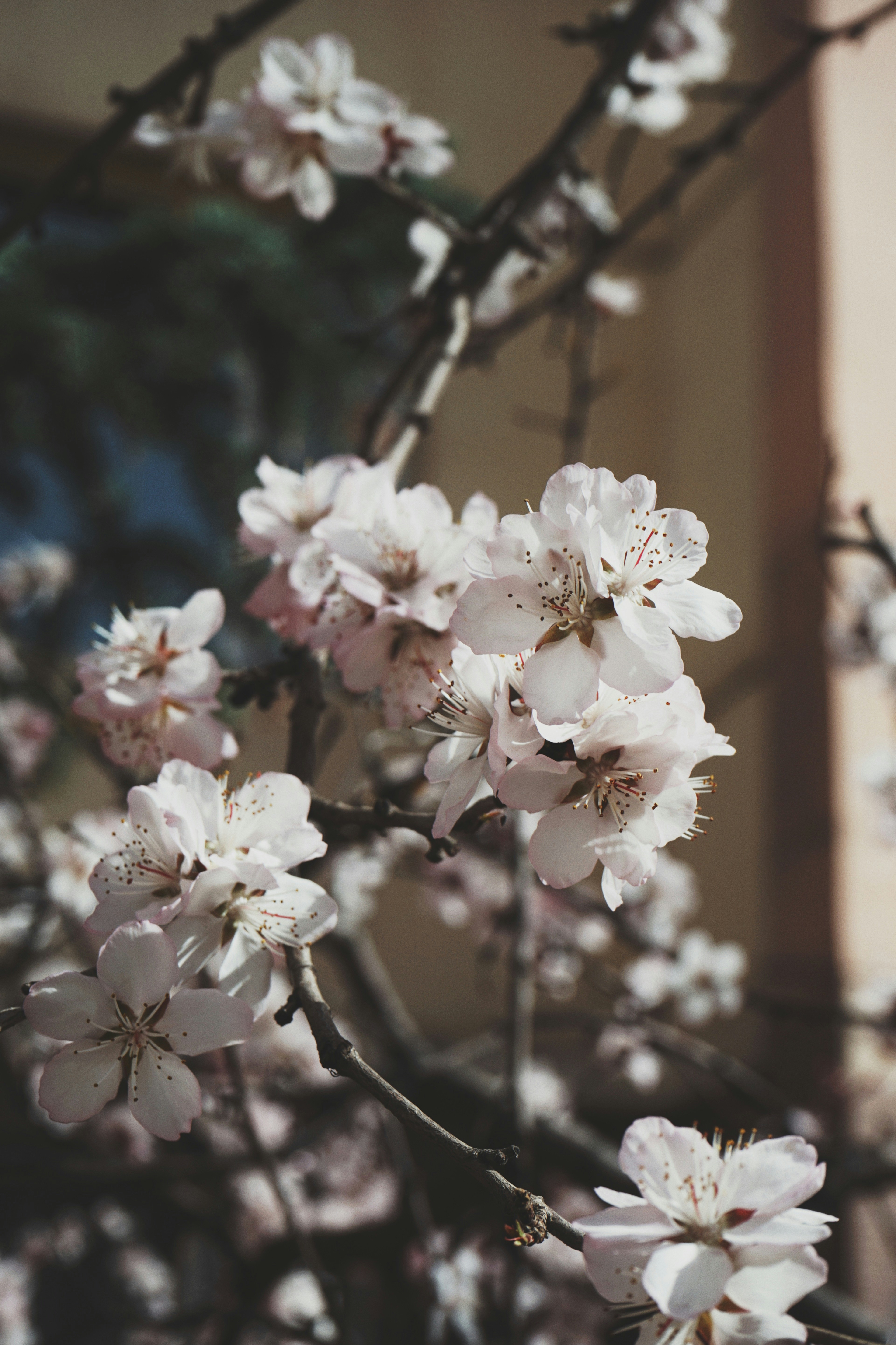 Photo by judahwester