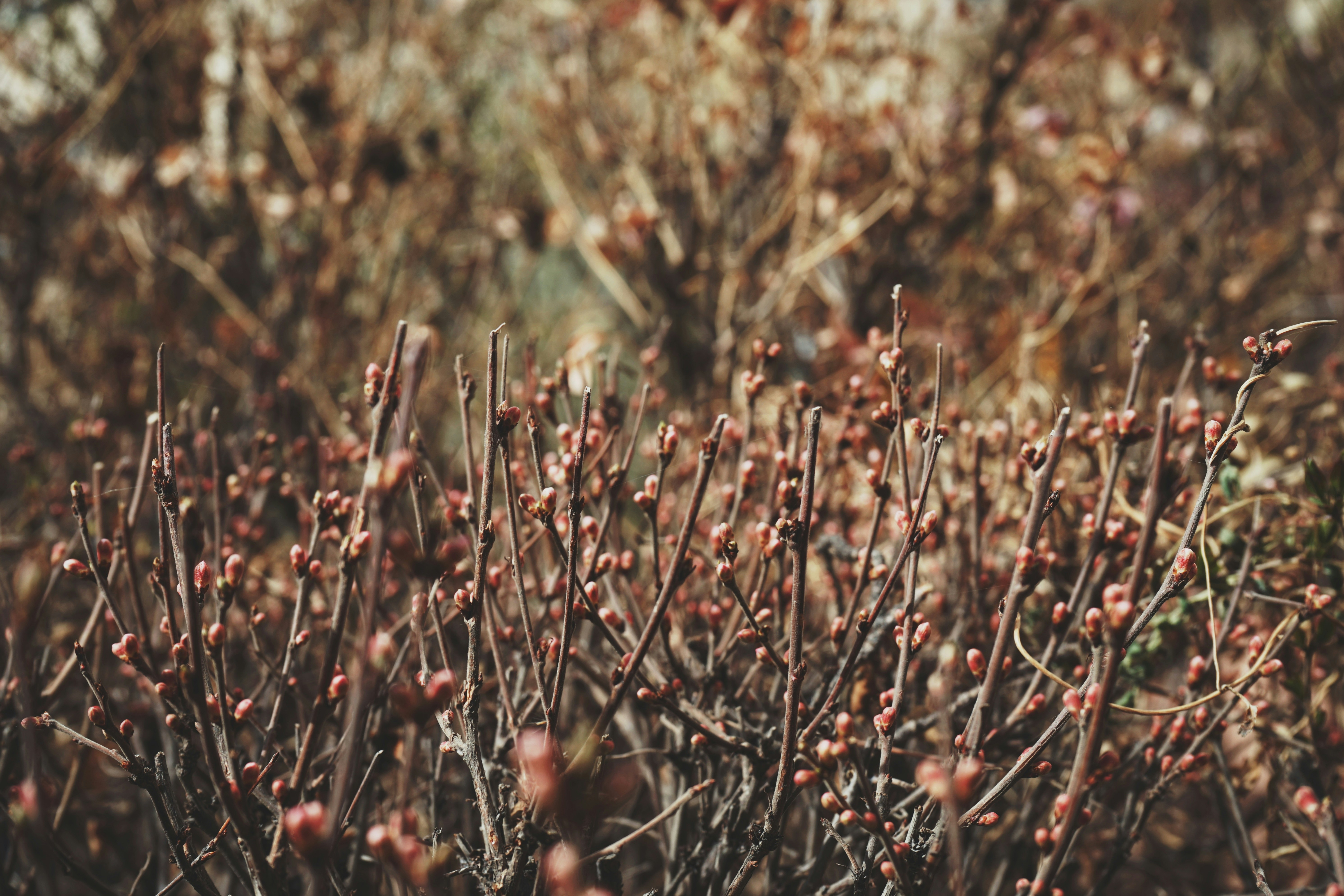 Photo by judahwester