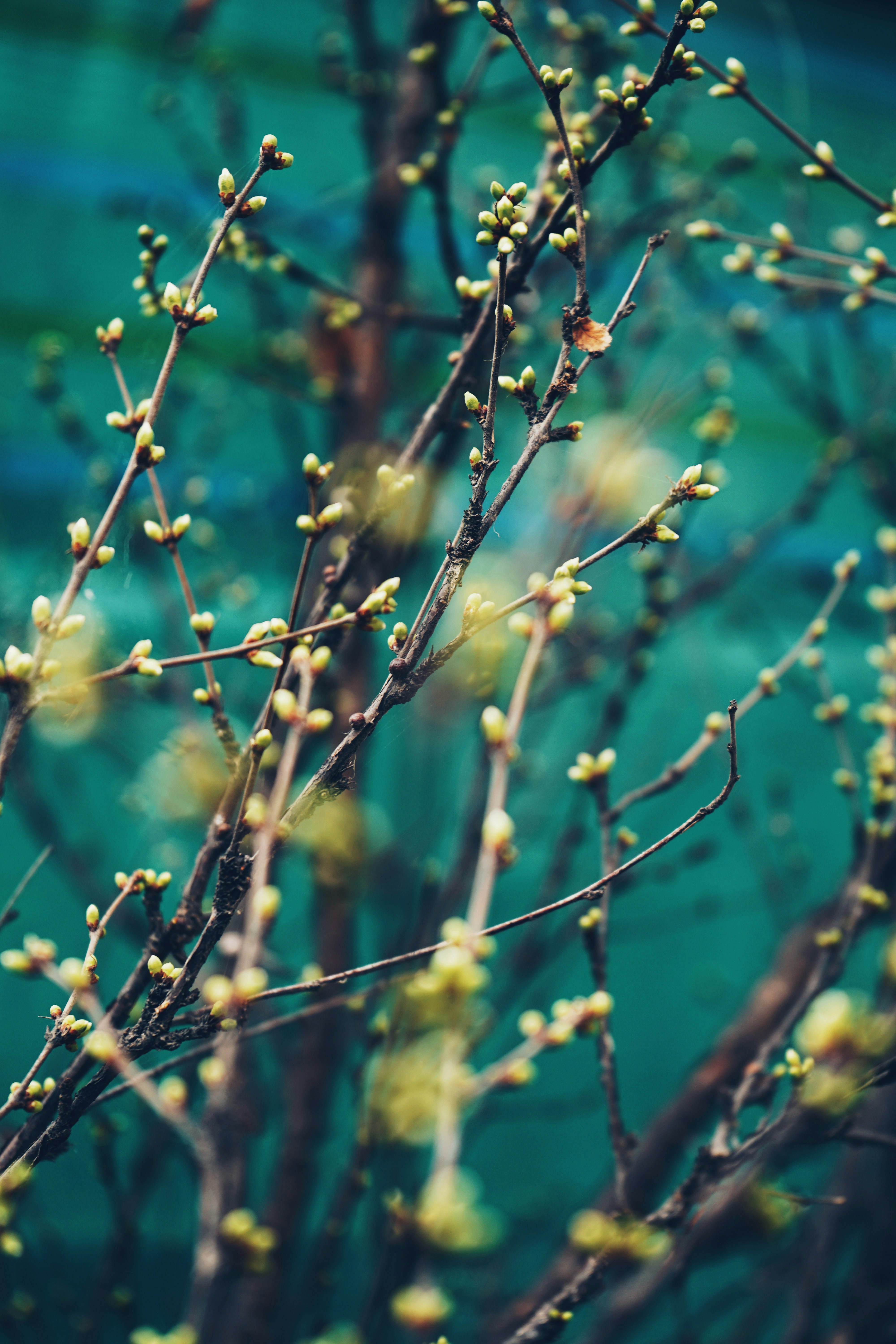 Photo by judahwester