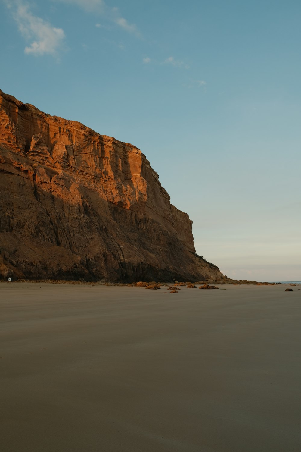 a beach with a mountain in the background