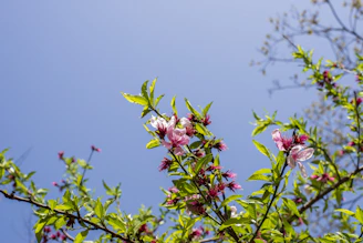 A vibrant email campaign screenshot showcasing a fresh spring sale with brand colors #173230 and #87fbaa.