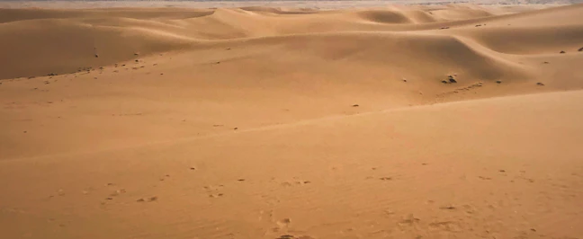 Luxury 9-Day Namibia Itinerary: Dunes & Safaris