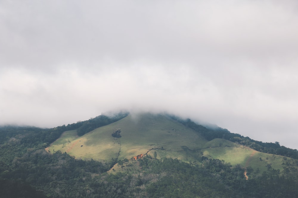 a mountain covered in clouds and trees on a cloudy day