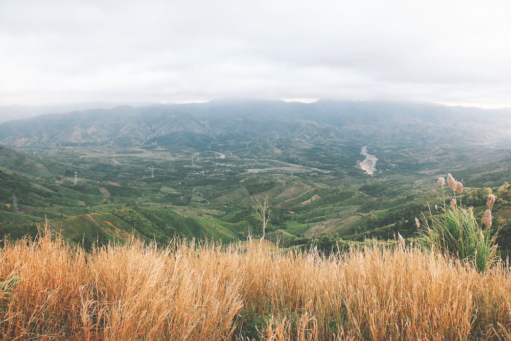 a view of a valley with mountains in the background