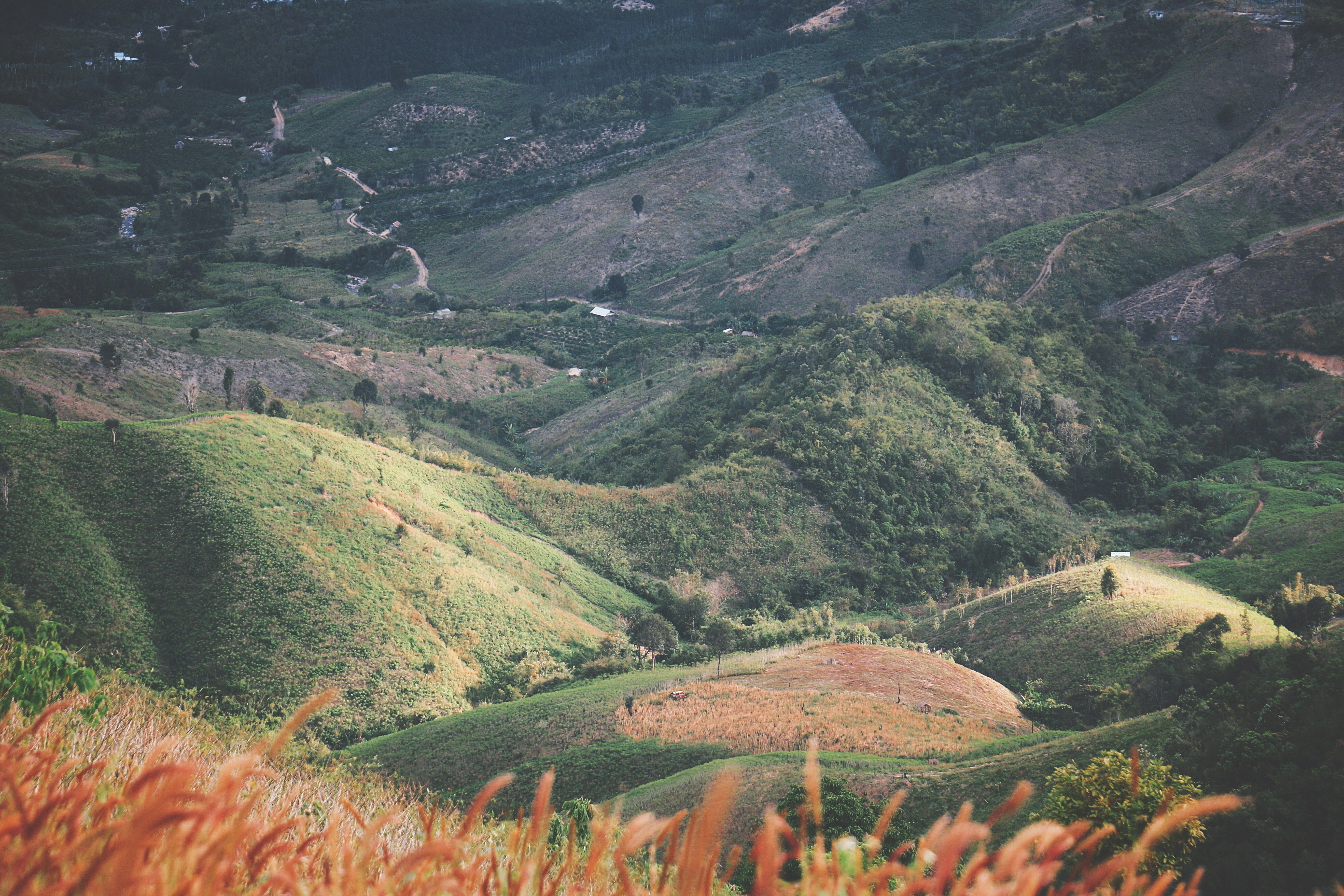 Photo by thuankaylias