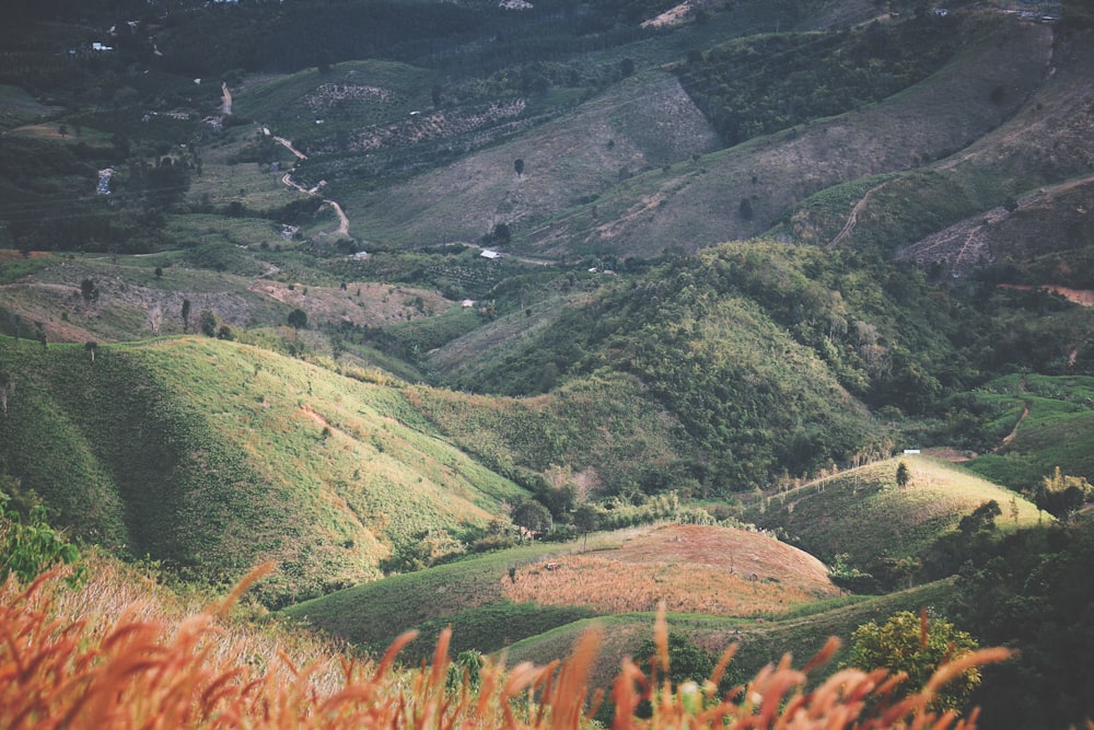 a lush green valley surrounded by mountains